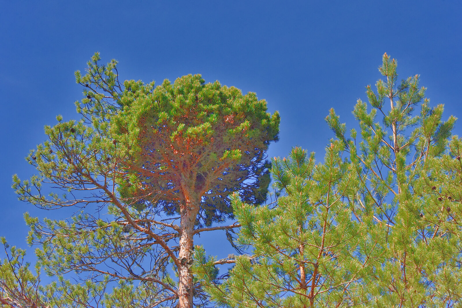 Valokuvaaja: Reijo Juurinen