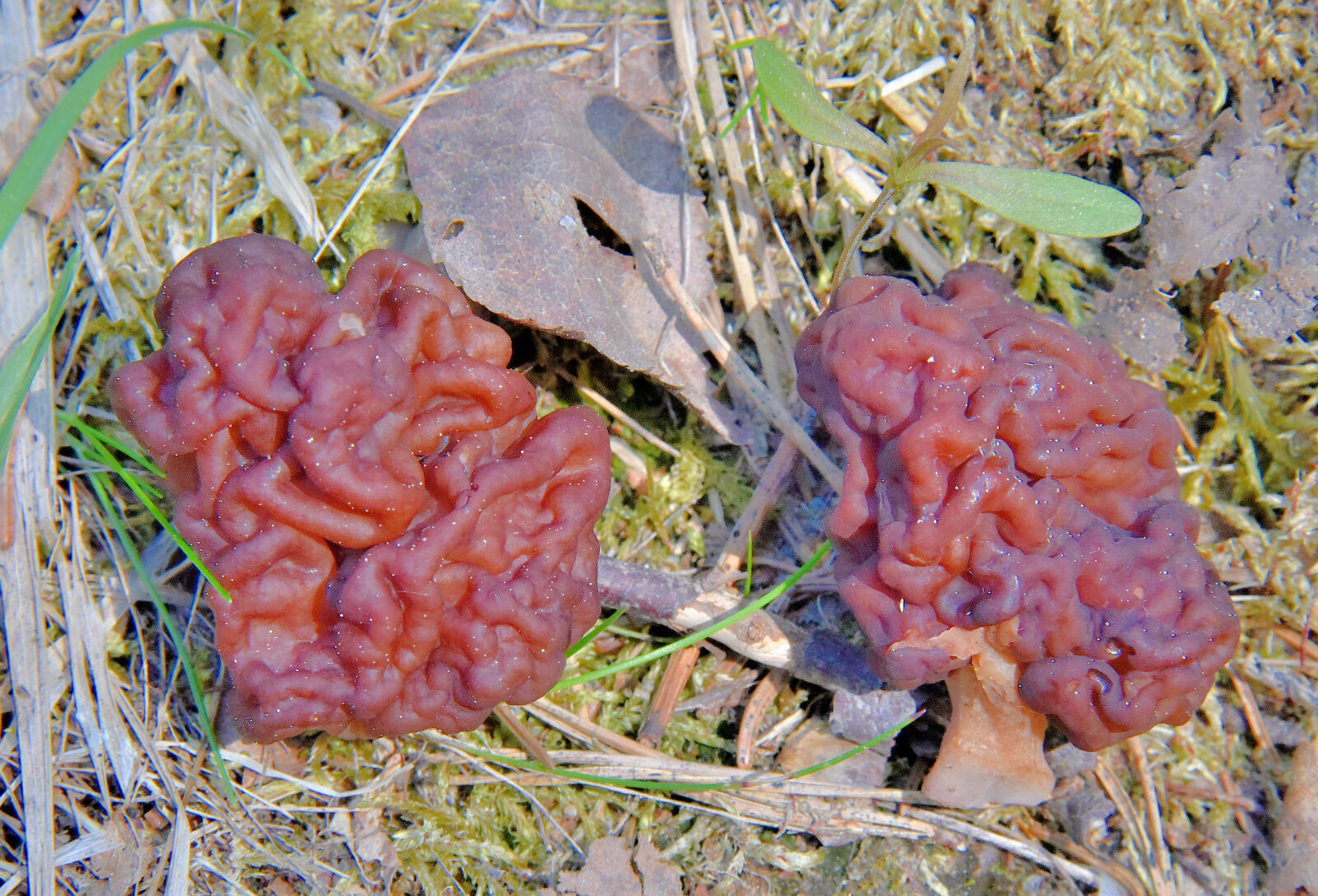 Valokuvaaja: Reijo Juurinen