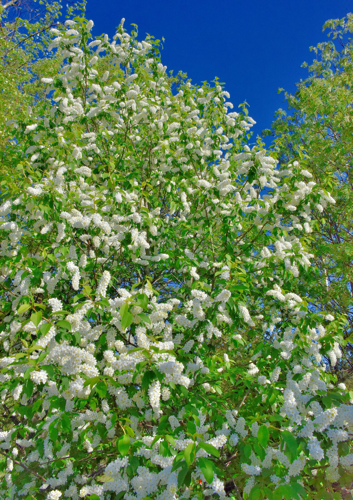Valokuvaaja: Reijo Juurinen