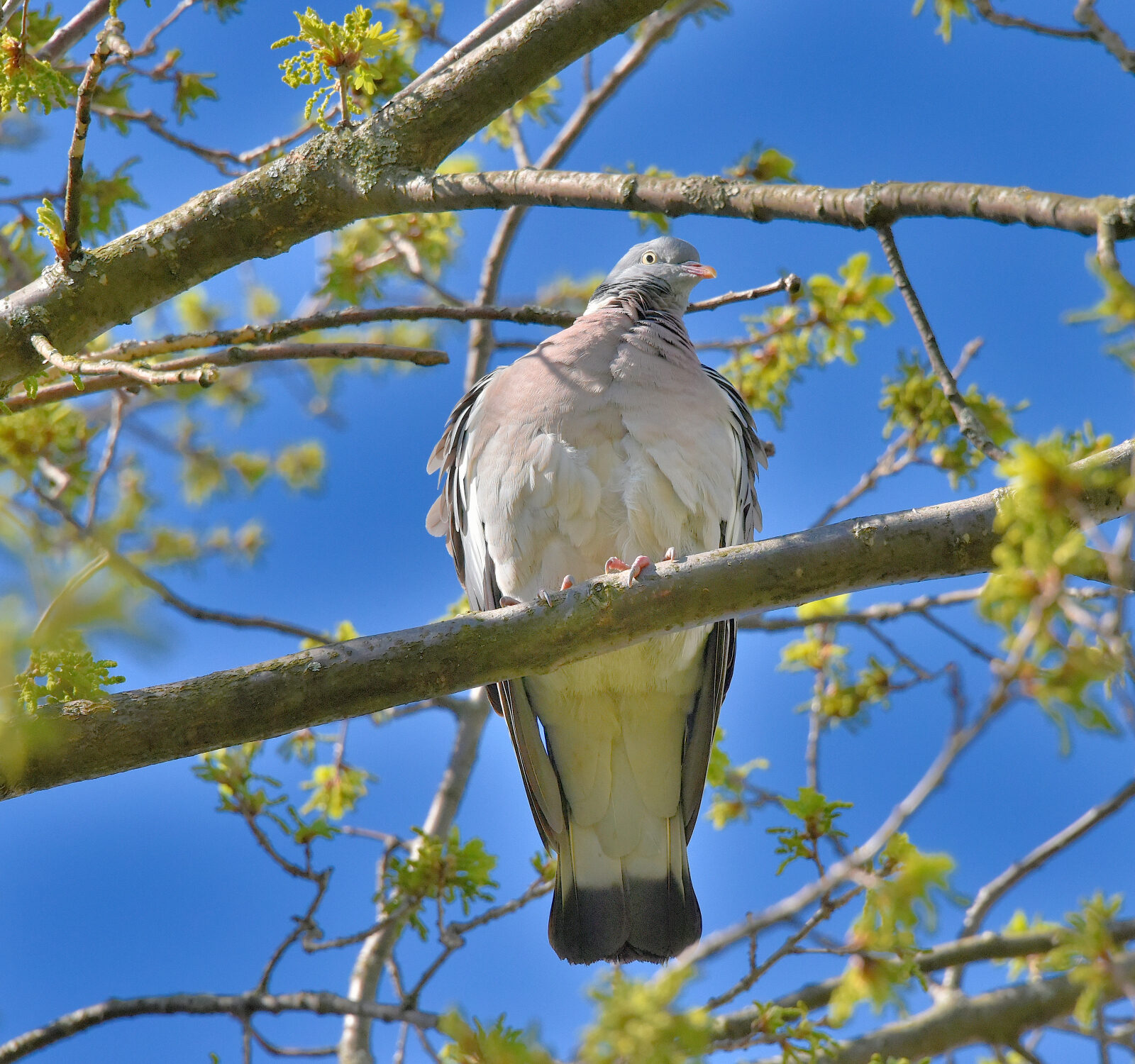 Valokuvaaja: Reijo Juurinen