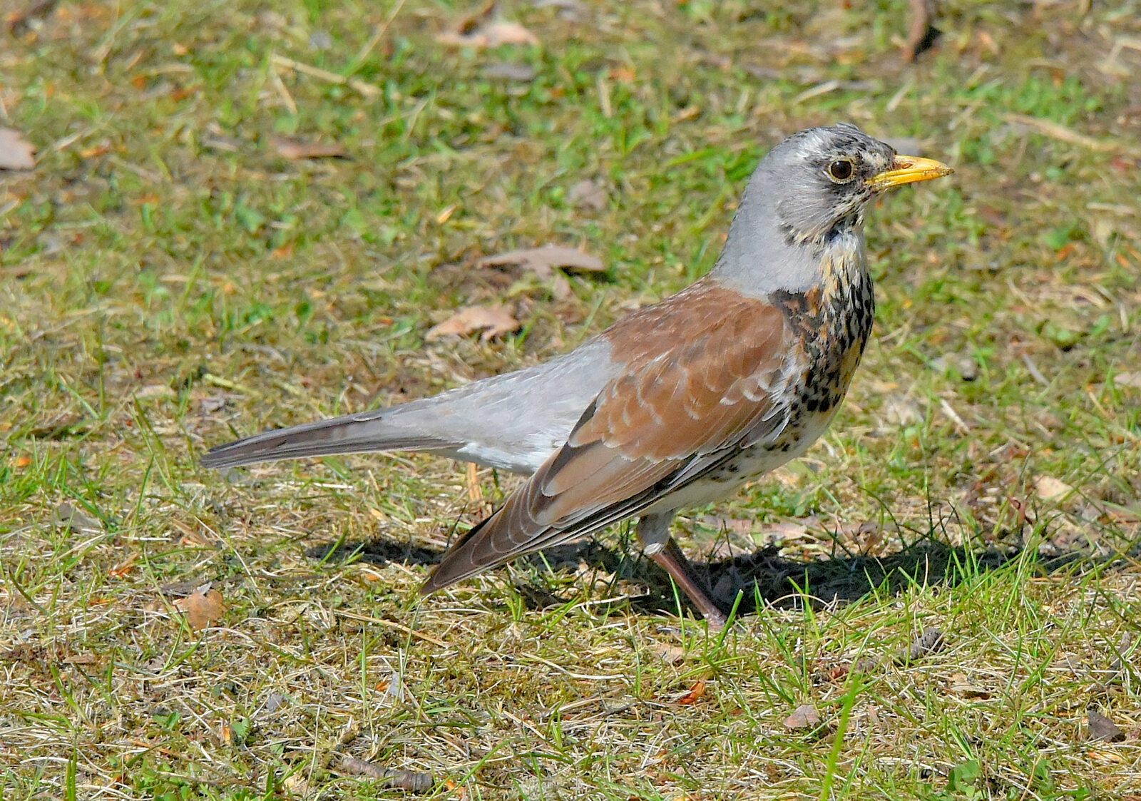 Valokuvaaja: Reijo Juurinen
