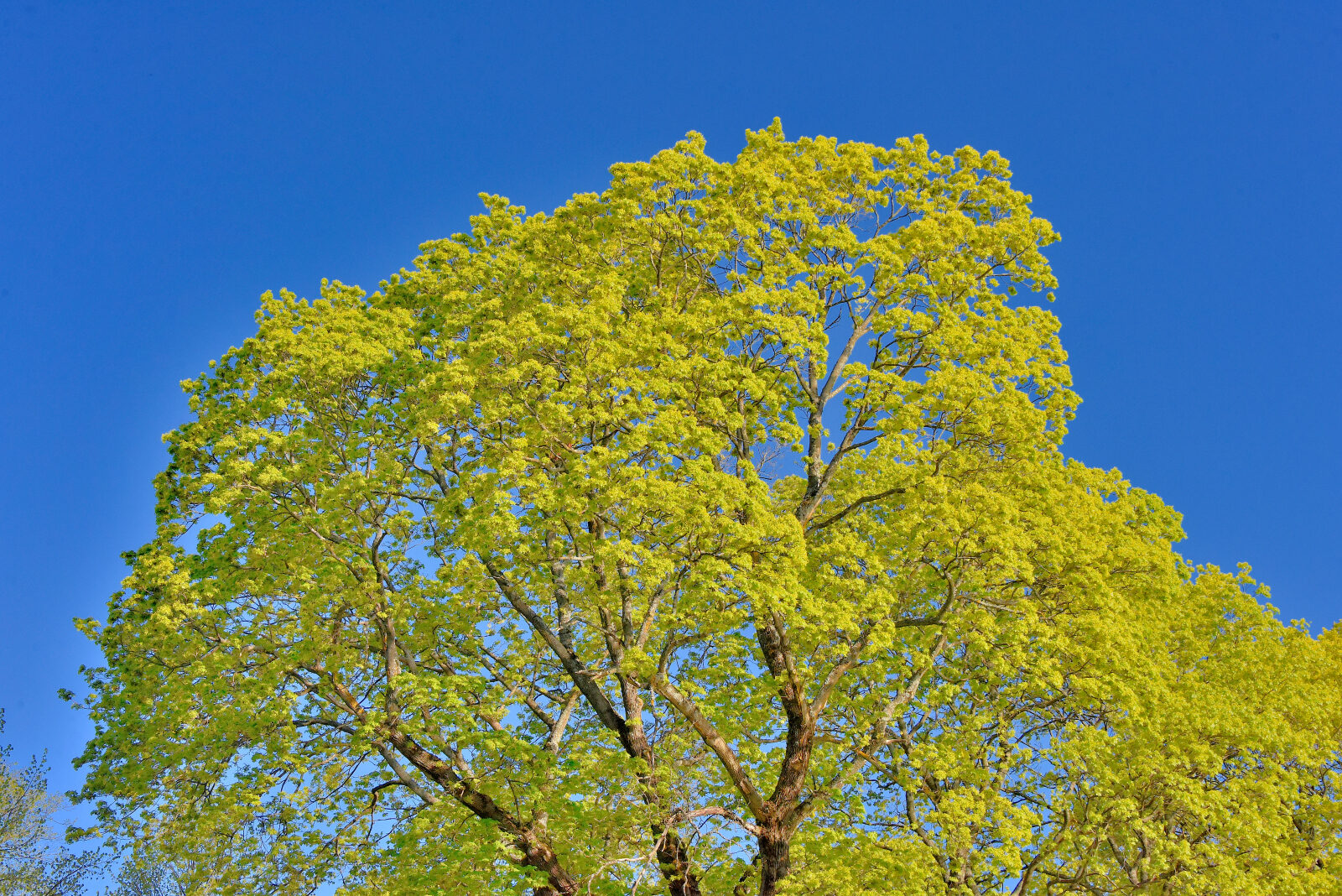 Valokuvaaja: Reijo Juurinen
