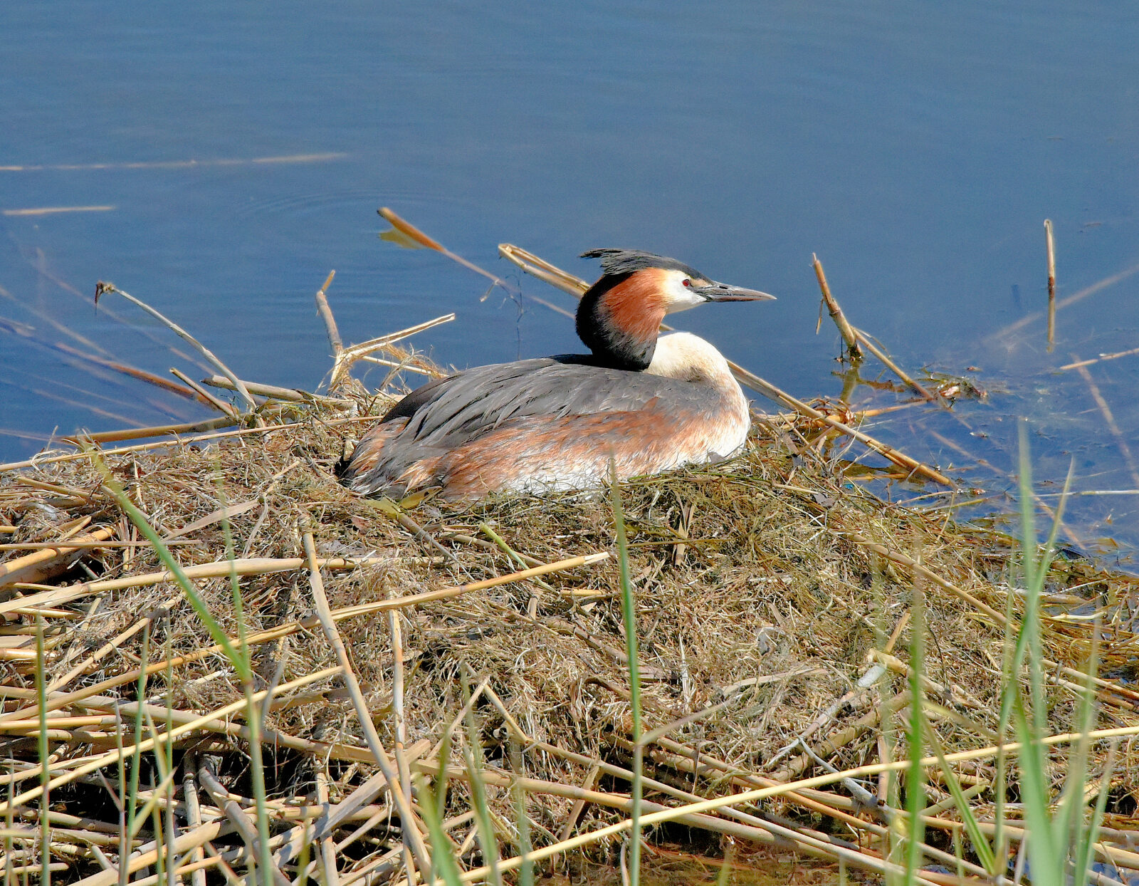 Valokuvaaja: Reijo Juurinen