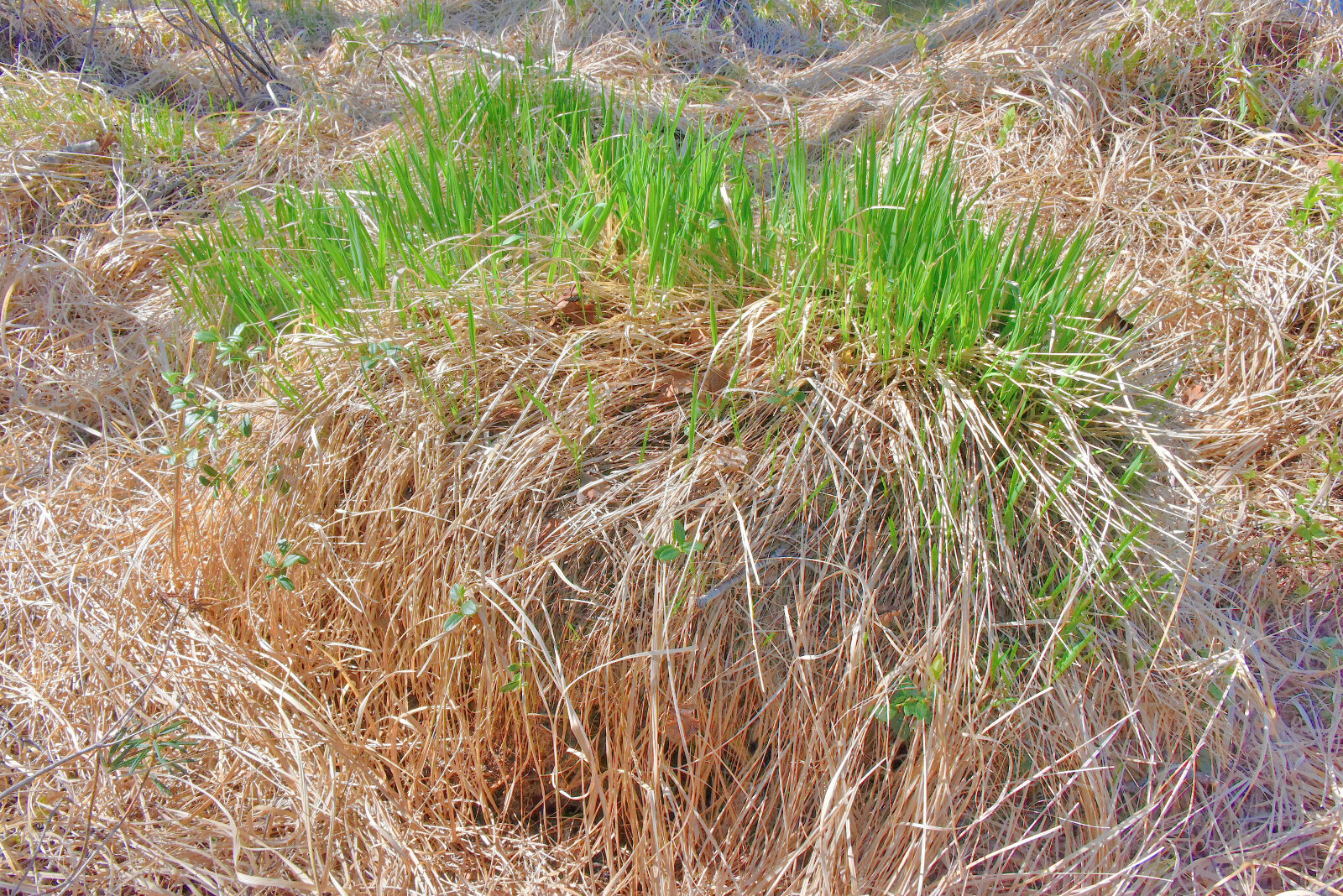 Valokuvaaja: Reijo Juurinen Valokuvaaja: Reijo Juurinen