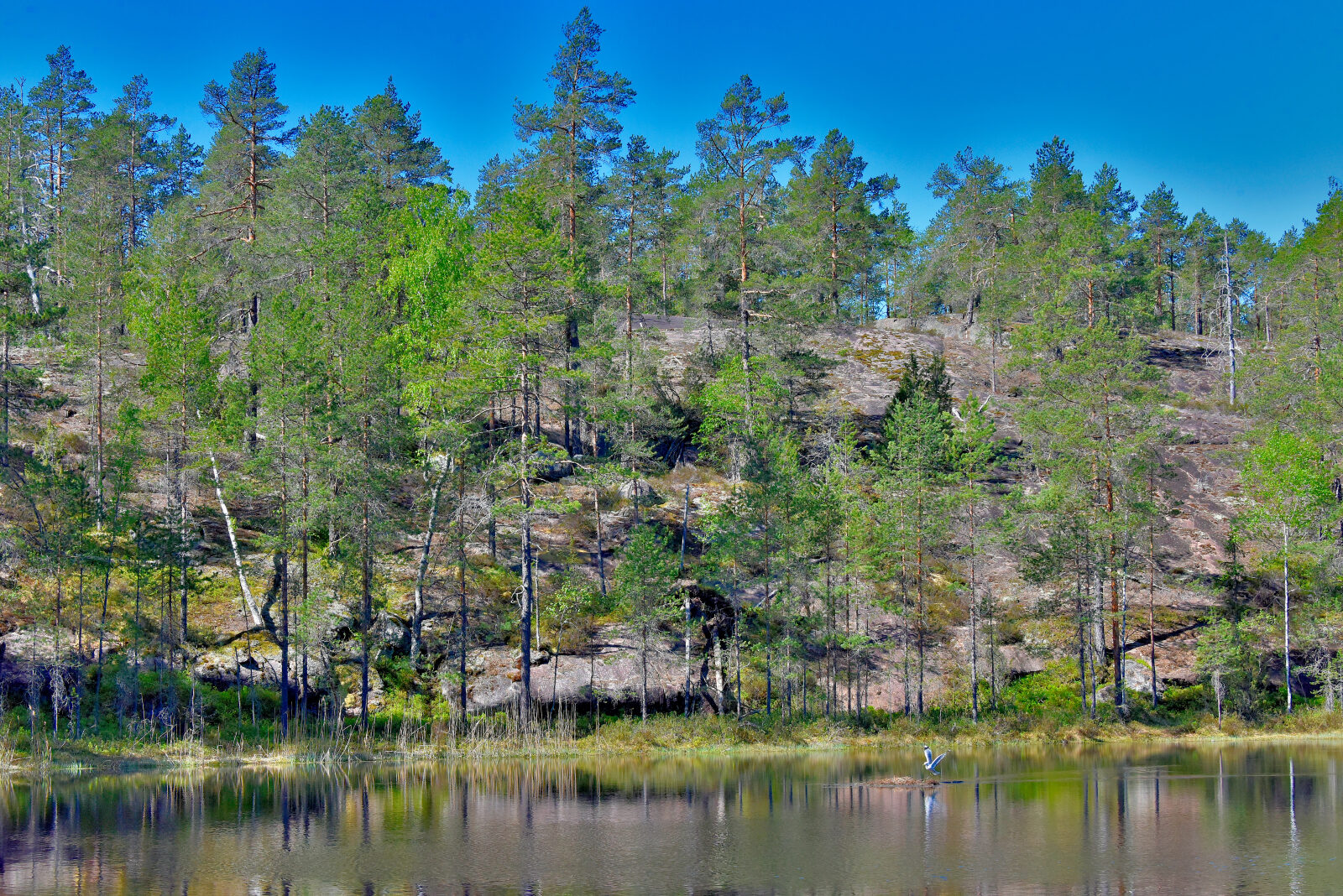Valokuvaaja: Reijo Juurinen