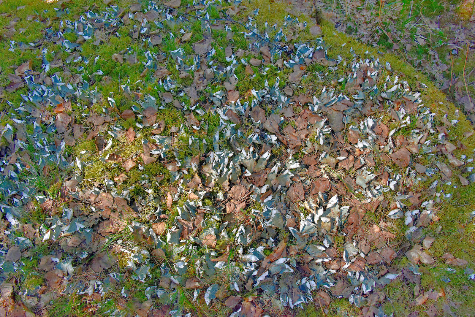 Valokuvaaja: Reijo Juurinen