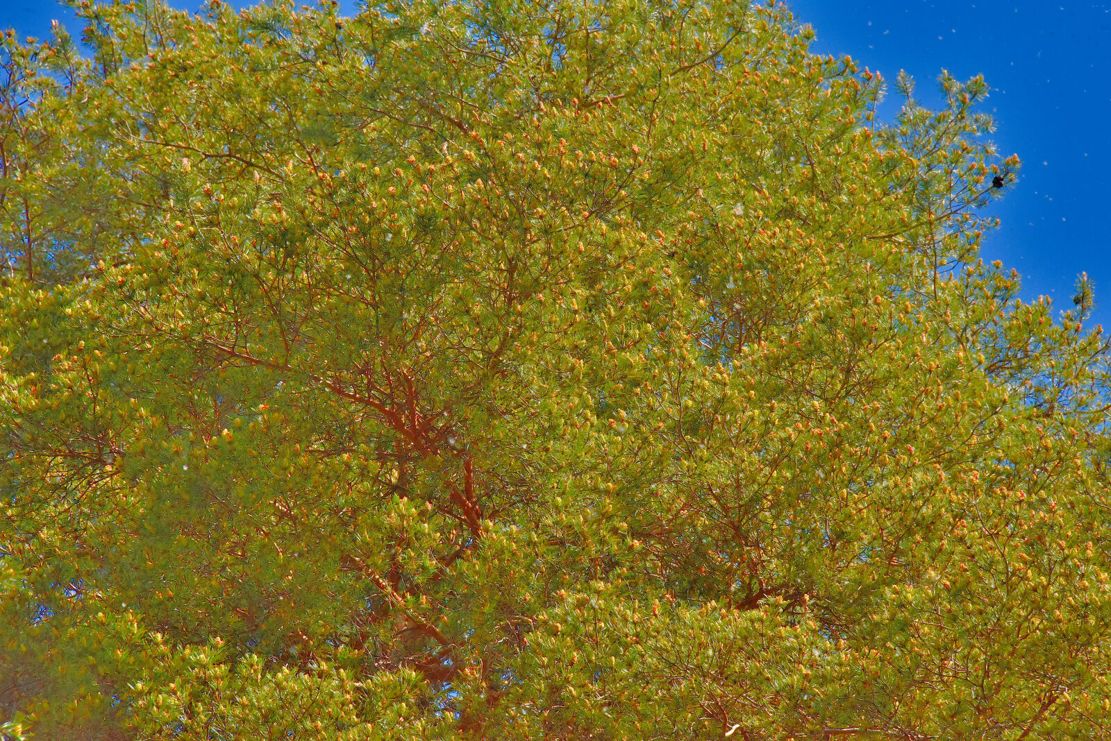 Valokuvaaja: Reijo Juurinen