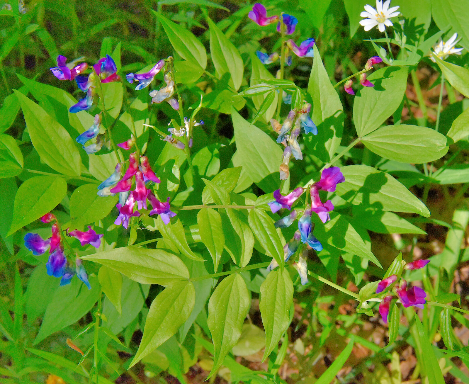 Valokuvaaja: Reijo Juurinen