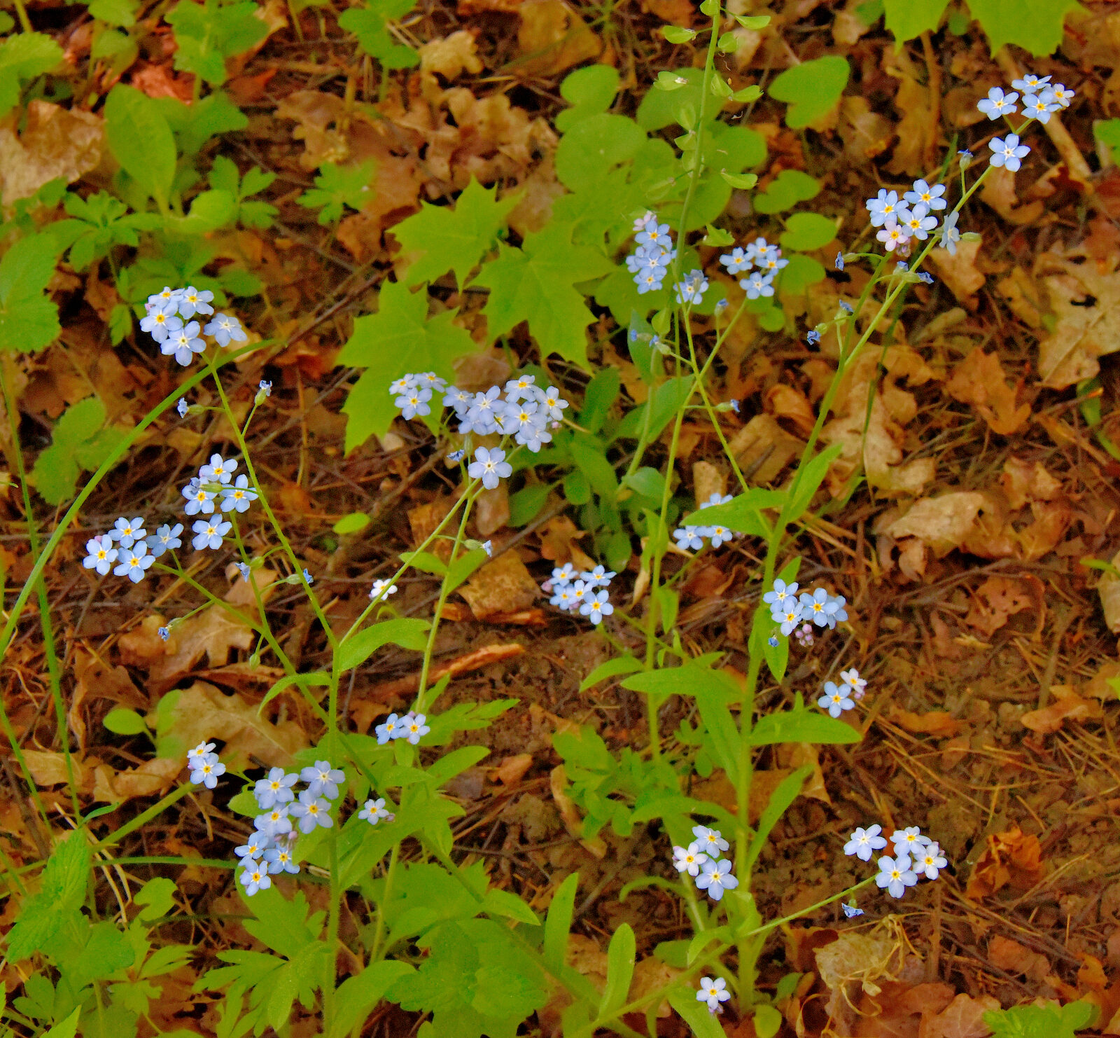 Valokuvaaja: Reijo Juurinen