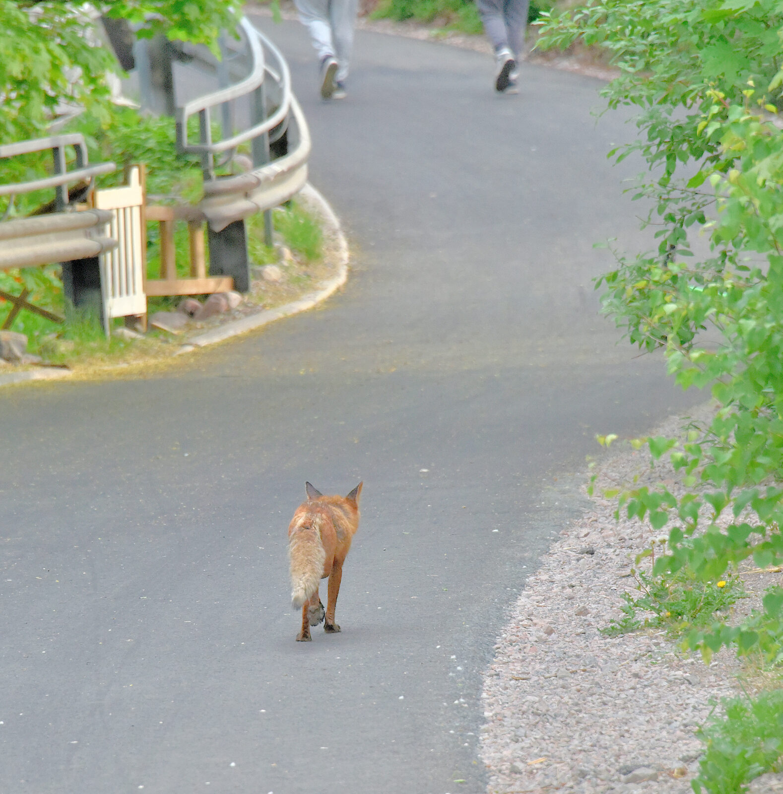 Valokuvaaja: Reijo Juurinen