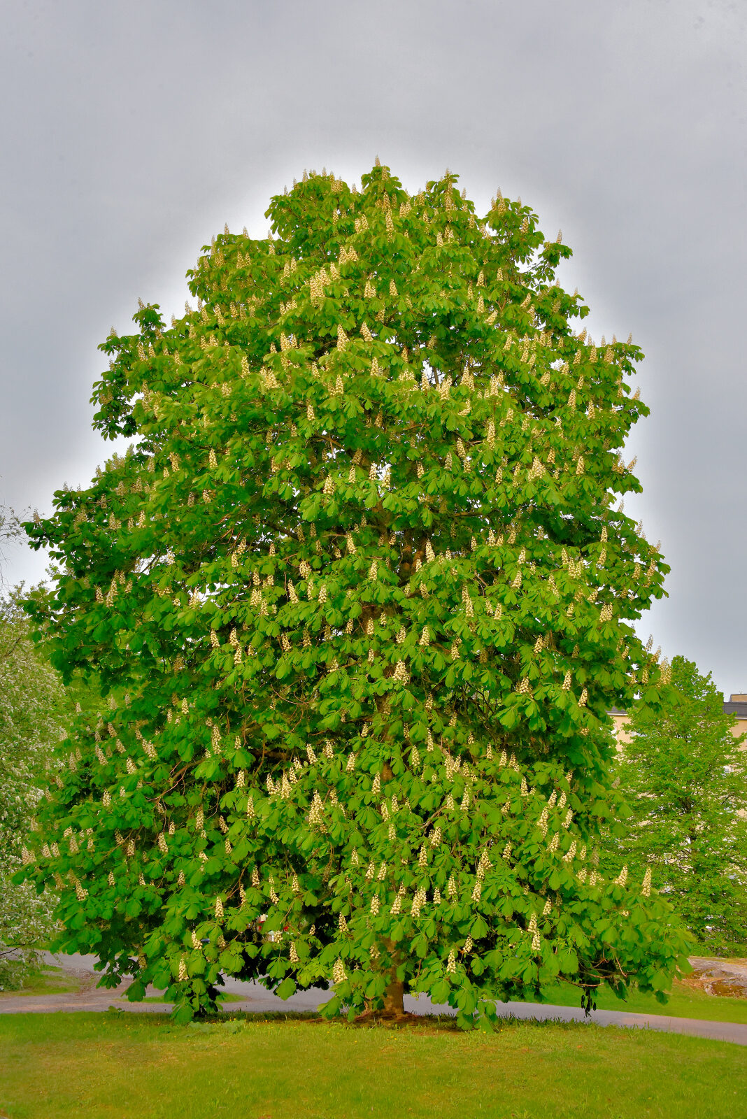 Valokuvaaja: Reijo Juurinen