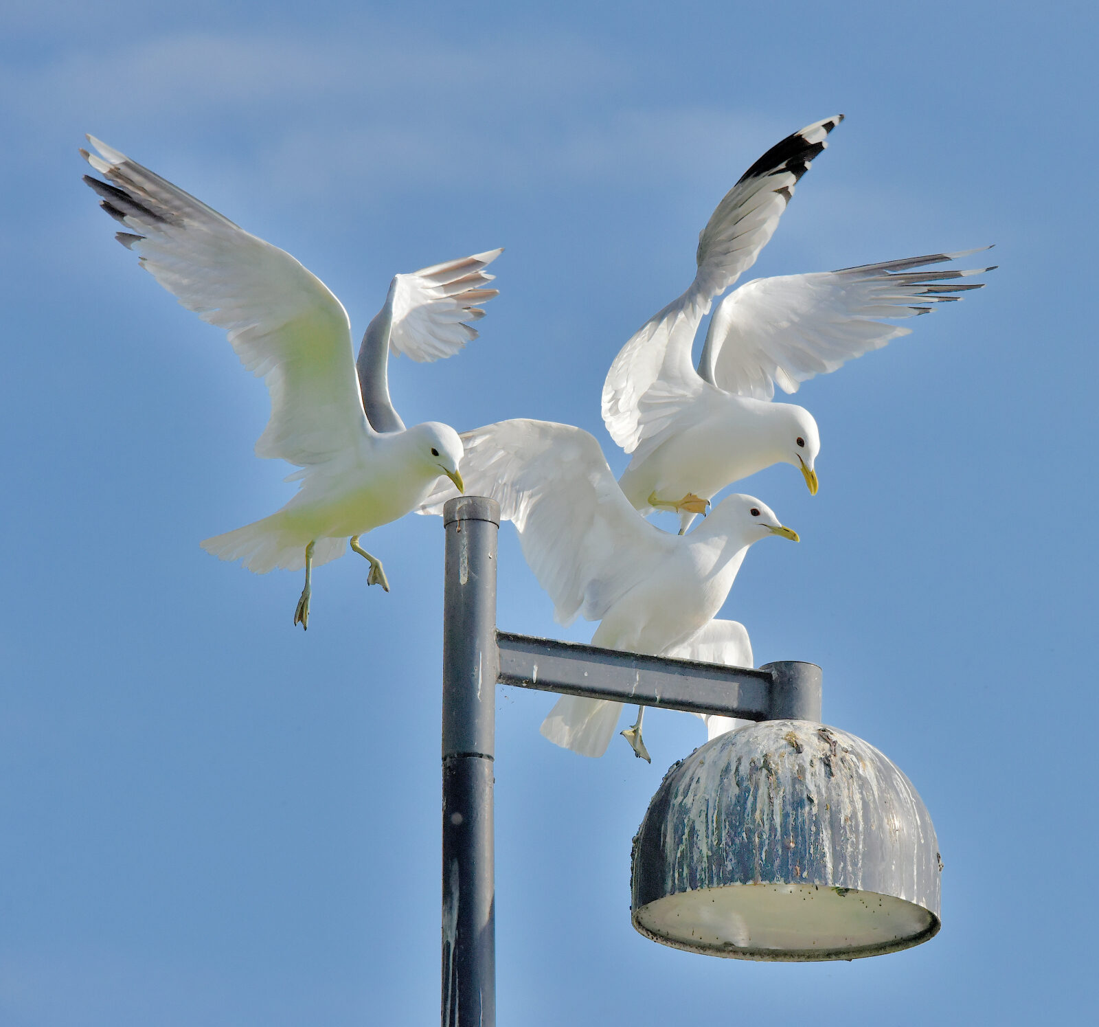 Valokuvaaja: Reijo Juurinen