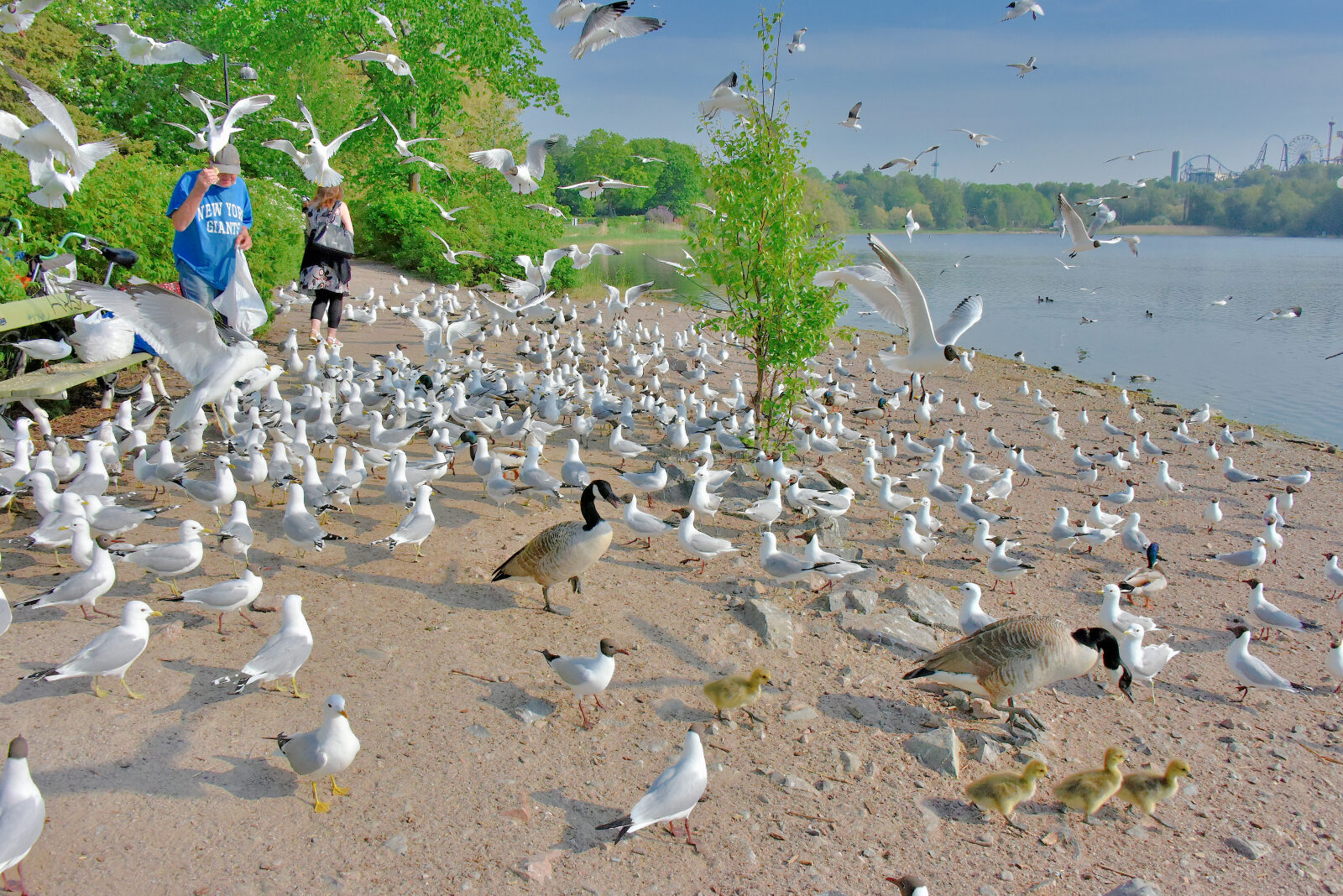 Valokuvaaja: Reijo Juurinen