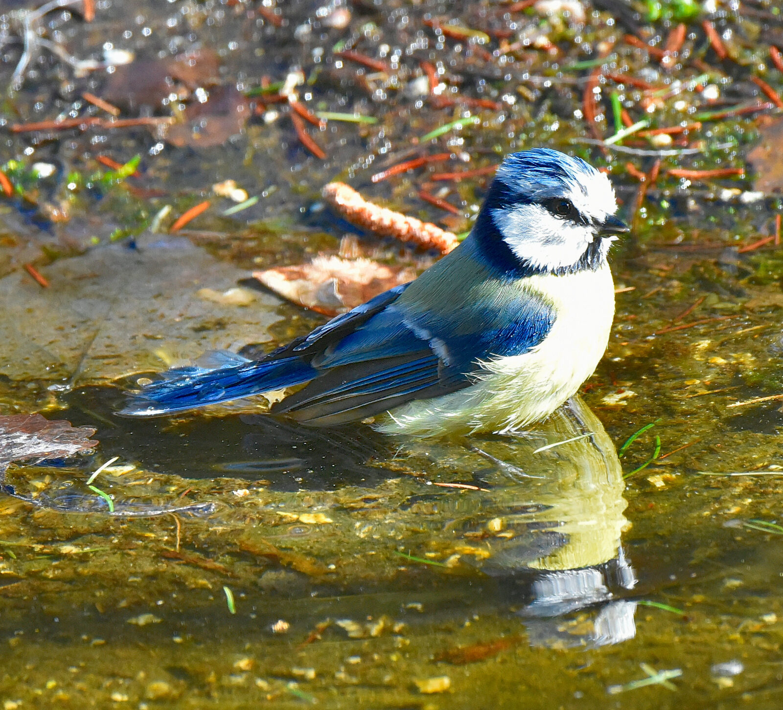 Valokuvaaja: Reijo Juurinen