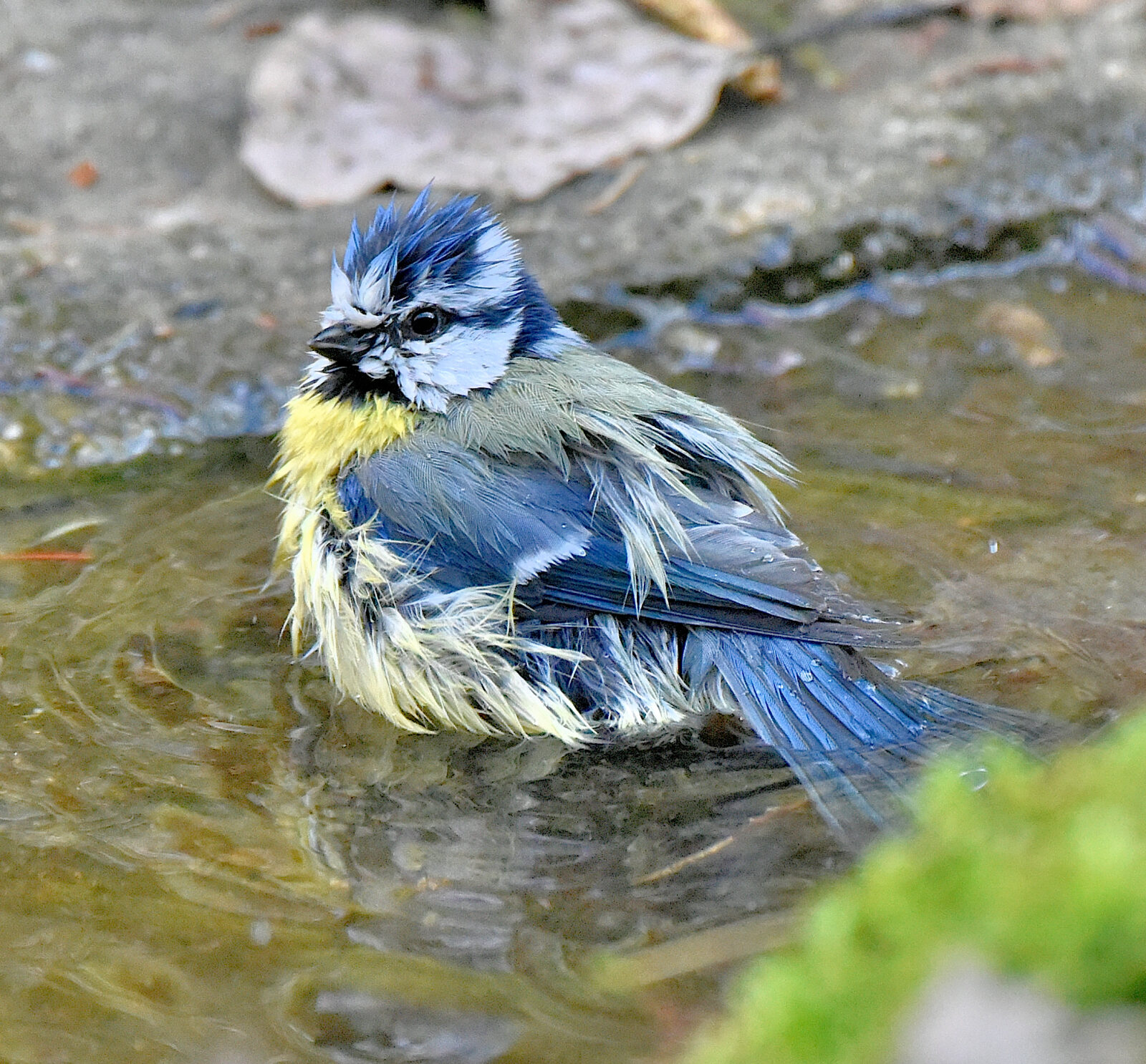 Valokuvaaja: Reijo Juurinen