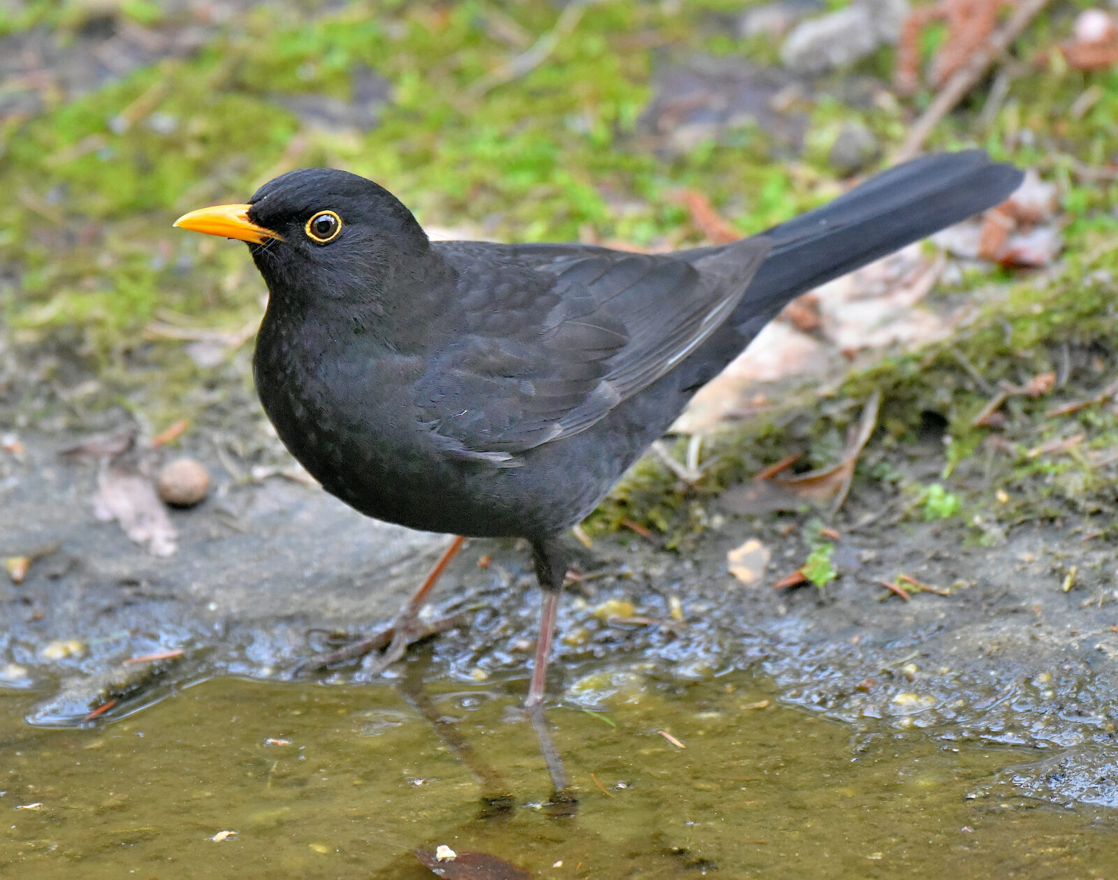 Valokuvaaja: Reijo Juurinen