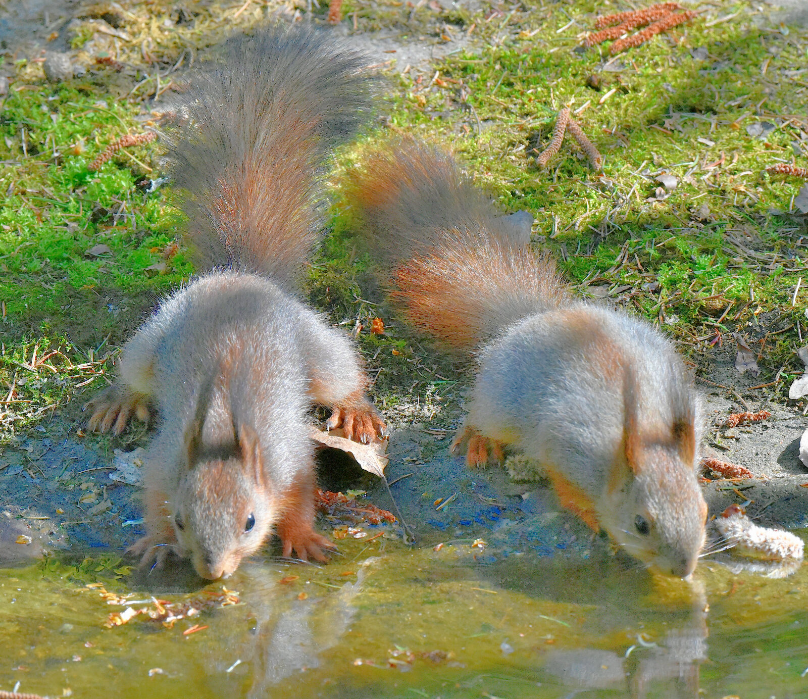 Valokuvaaja: Reijo Juurinen