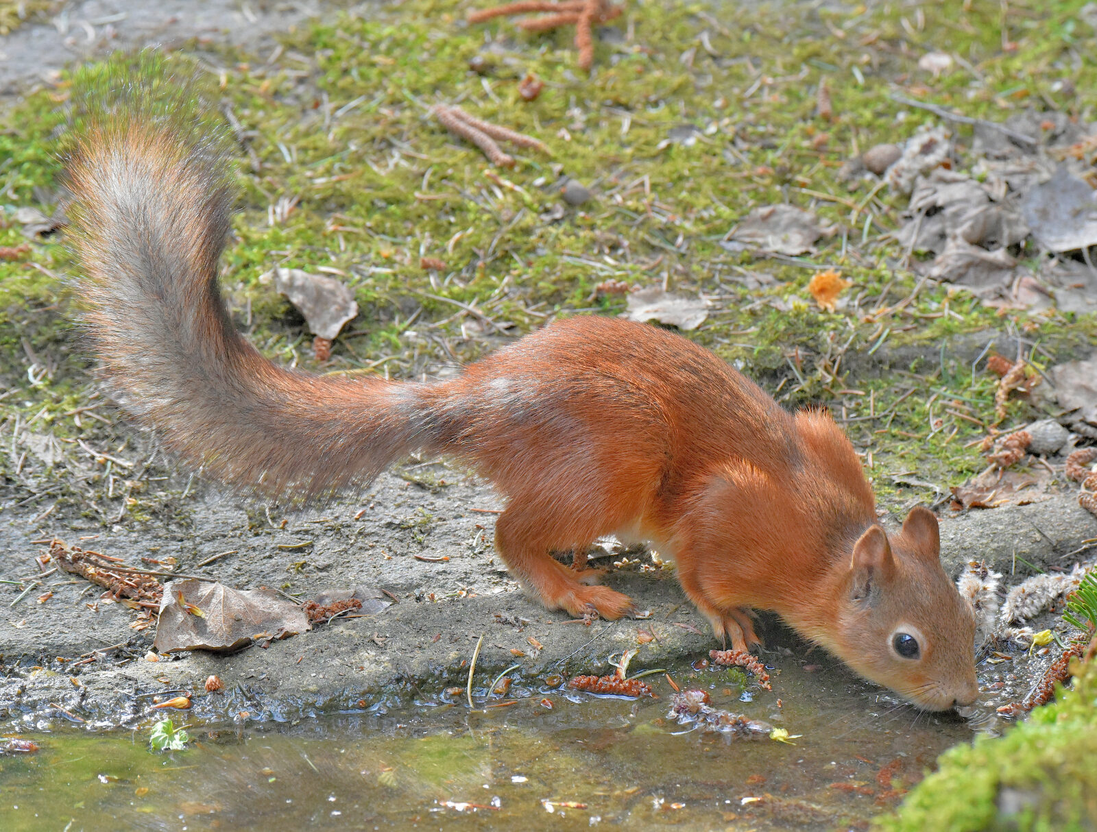 Valokuvaaja: Reijo Juurinen