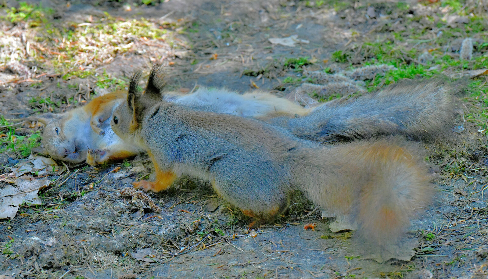 Valokuvaaja: Reijo Juurinen