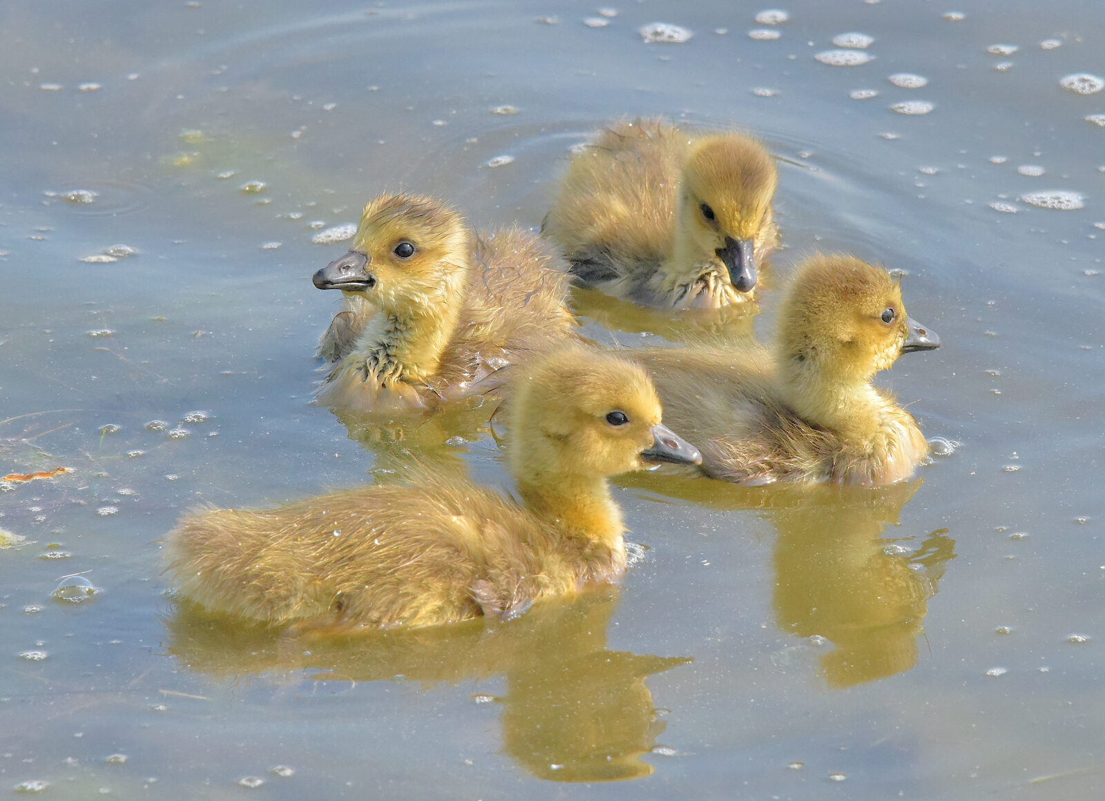 Valokuvaaja: Reijo Juurinen