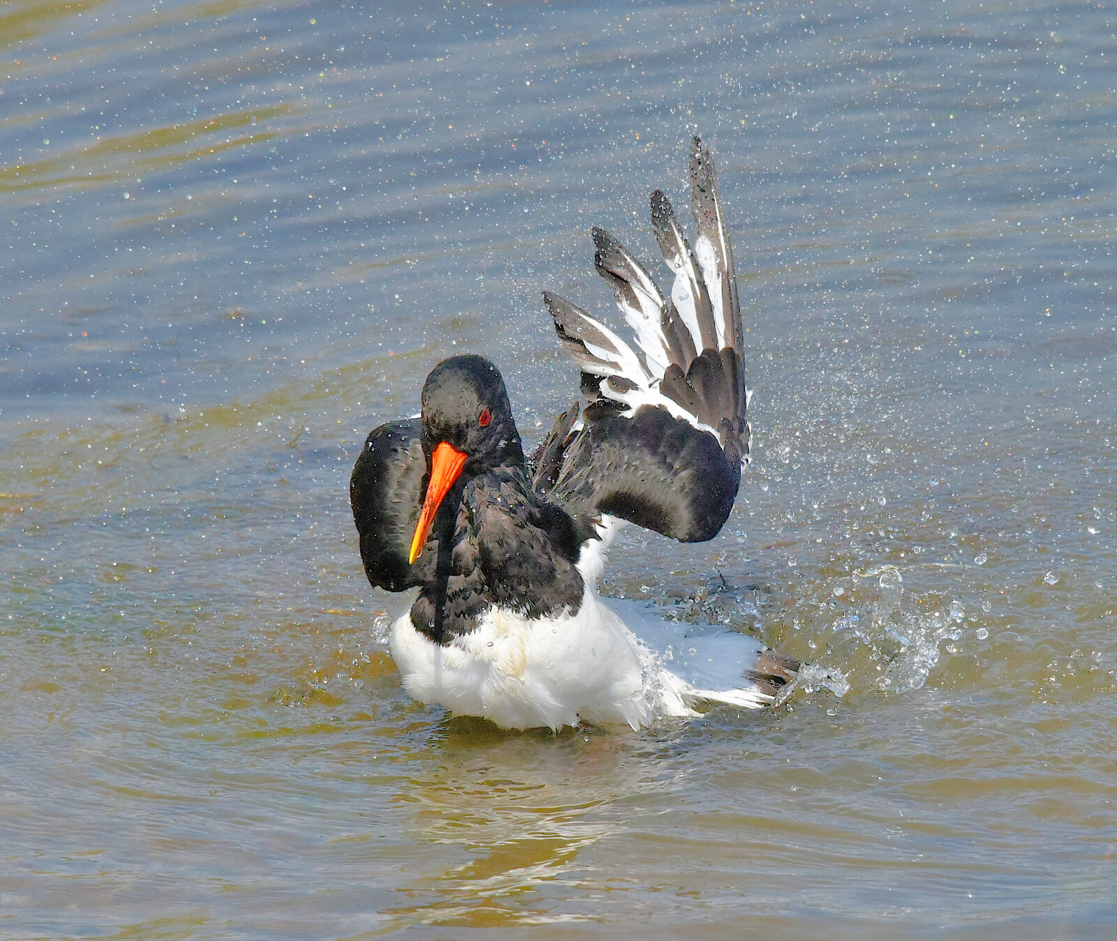 Valokuvaaja: Reijo Juurinen