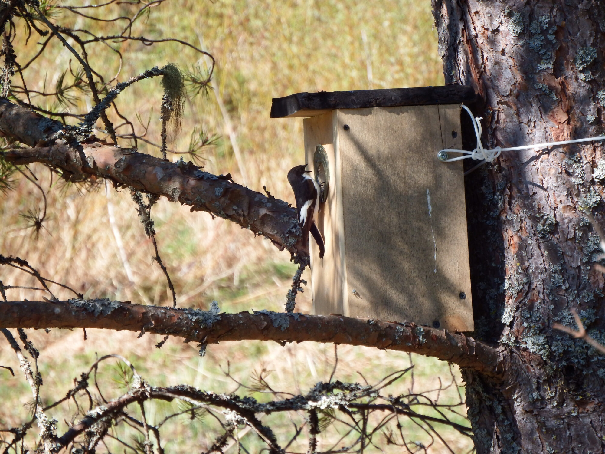 Valokuvaaja: Toni Asikainen