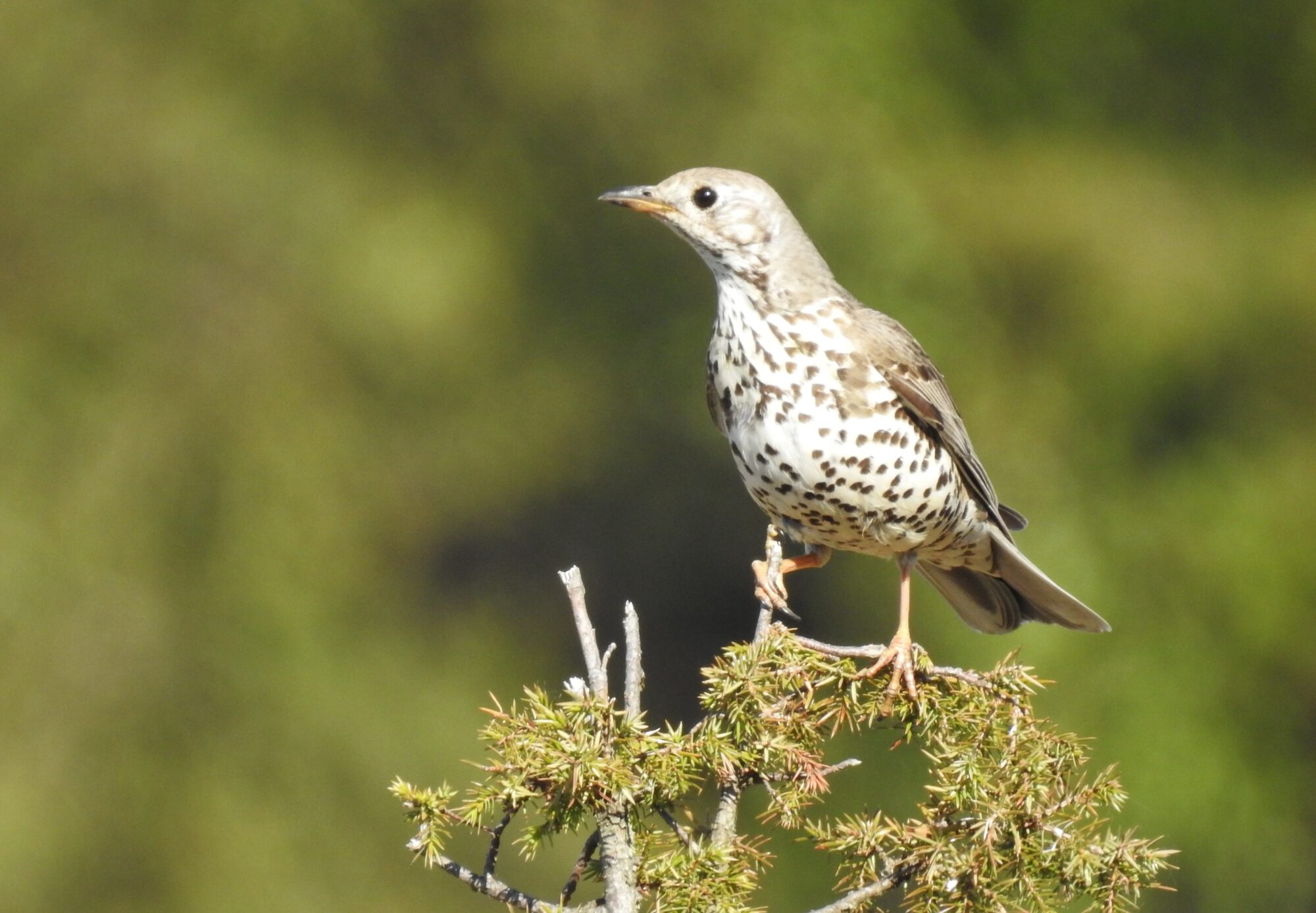 Valokuvaaja: Jarmo Mantere