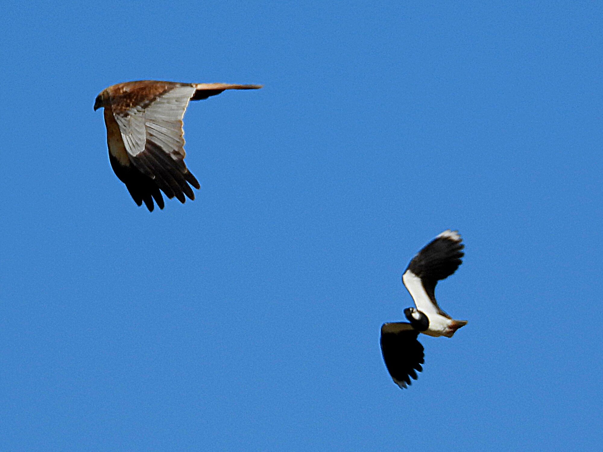 Valokuvaaja: Kaarina Walter