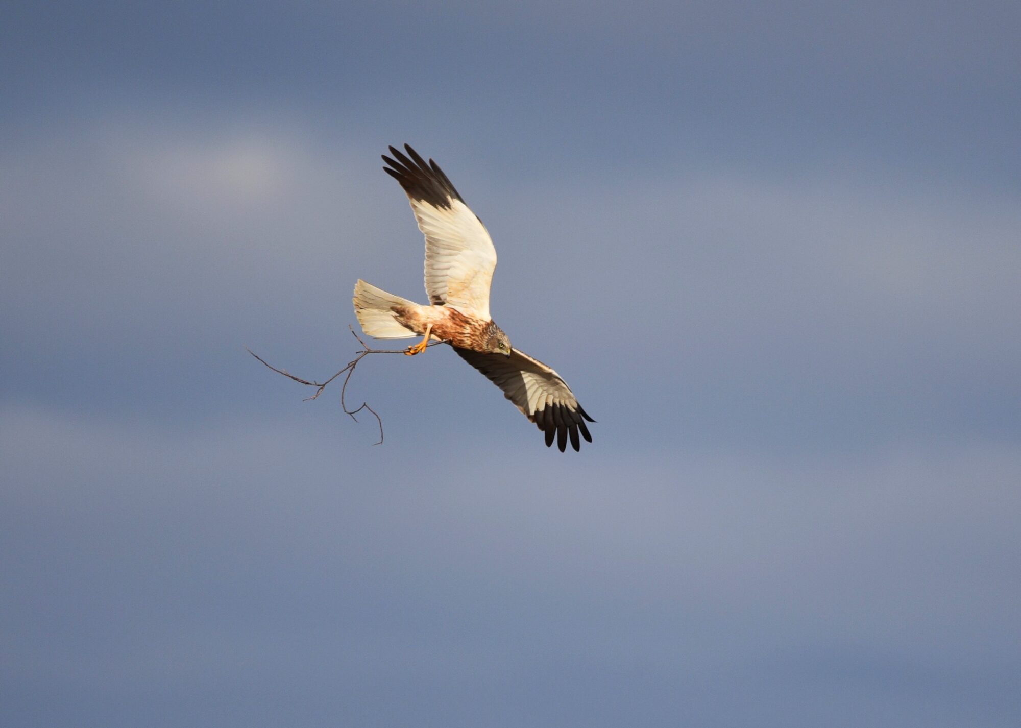 Valokuvaaja: Leena Latvala