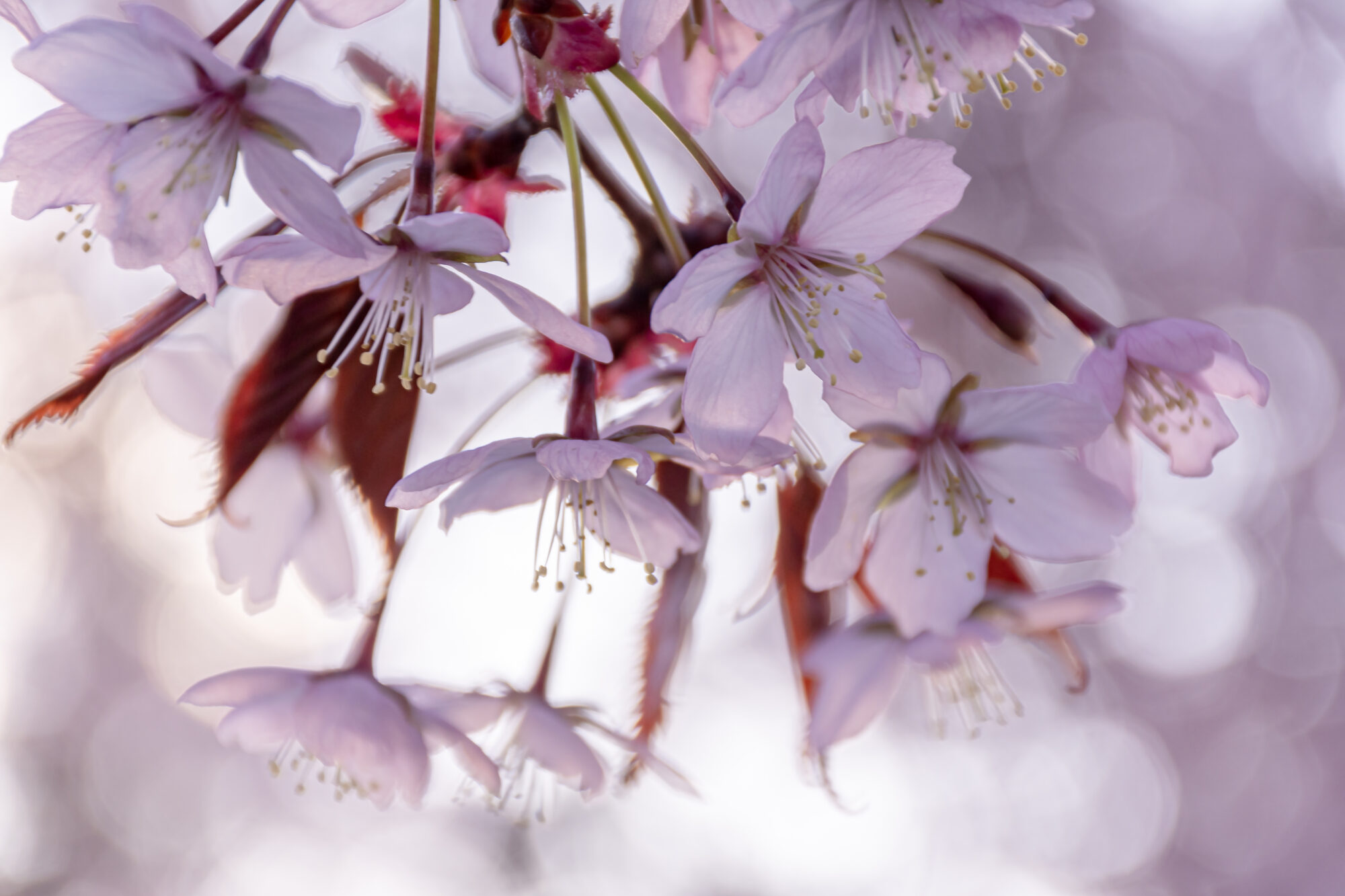 Valokuvaaja: Leena Rissanen