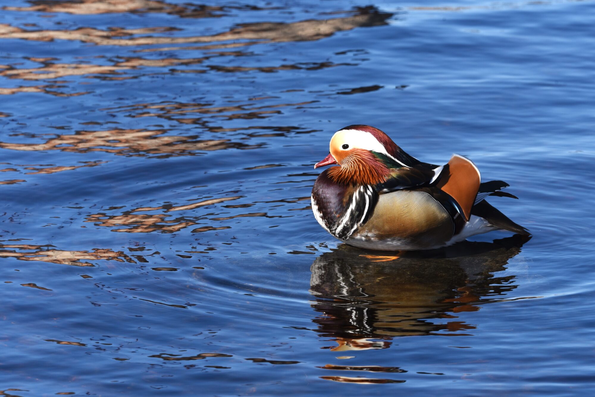 Valokuvaaja: Maarit Siitonen