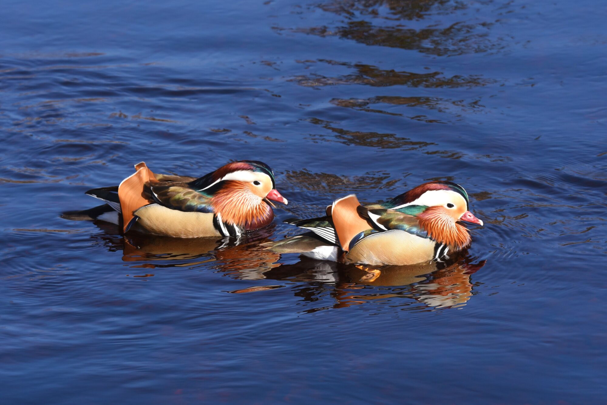 Valokuvaaja: Maarit Siitonen