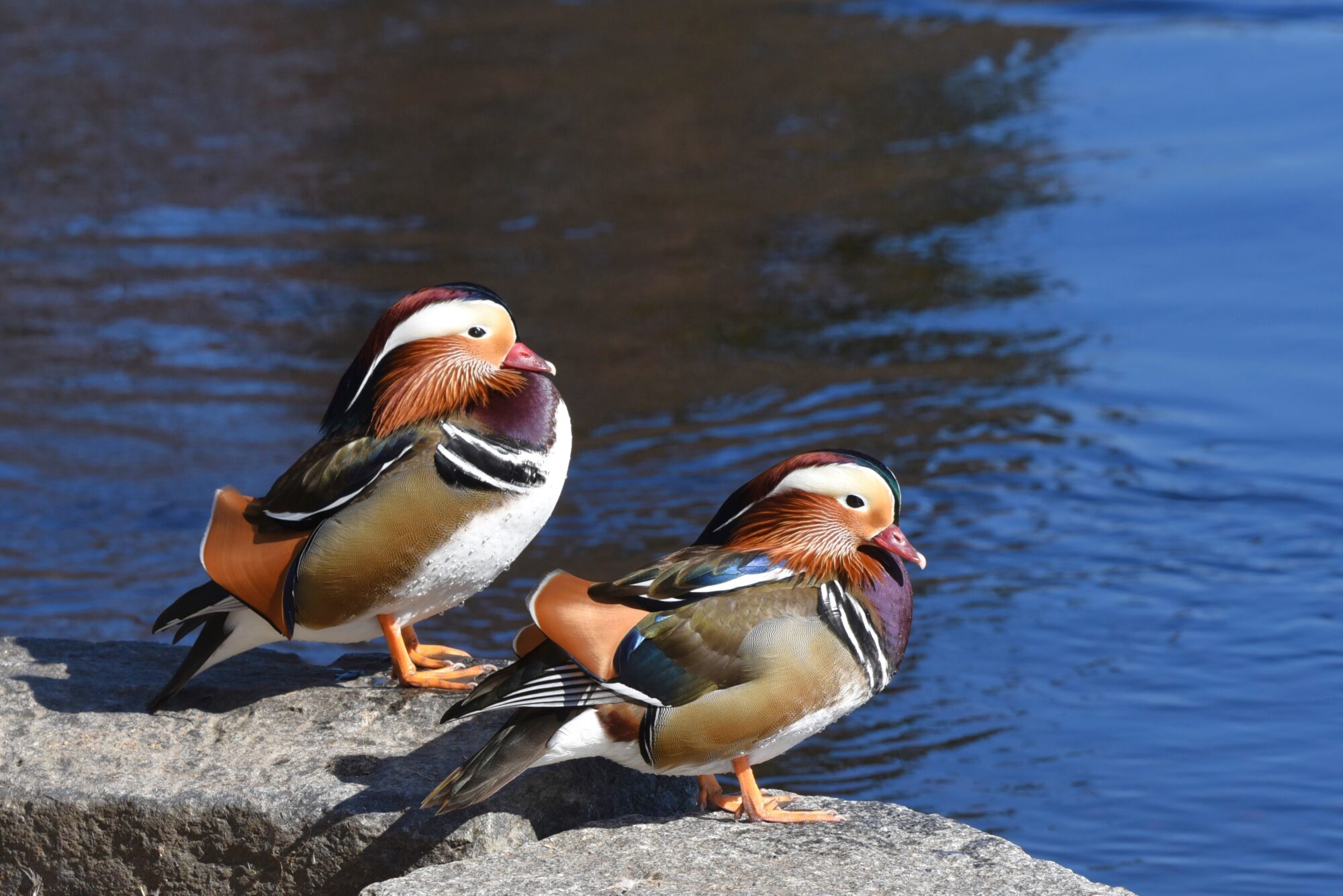 Valokuvaaja: Maarit Siitonen