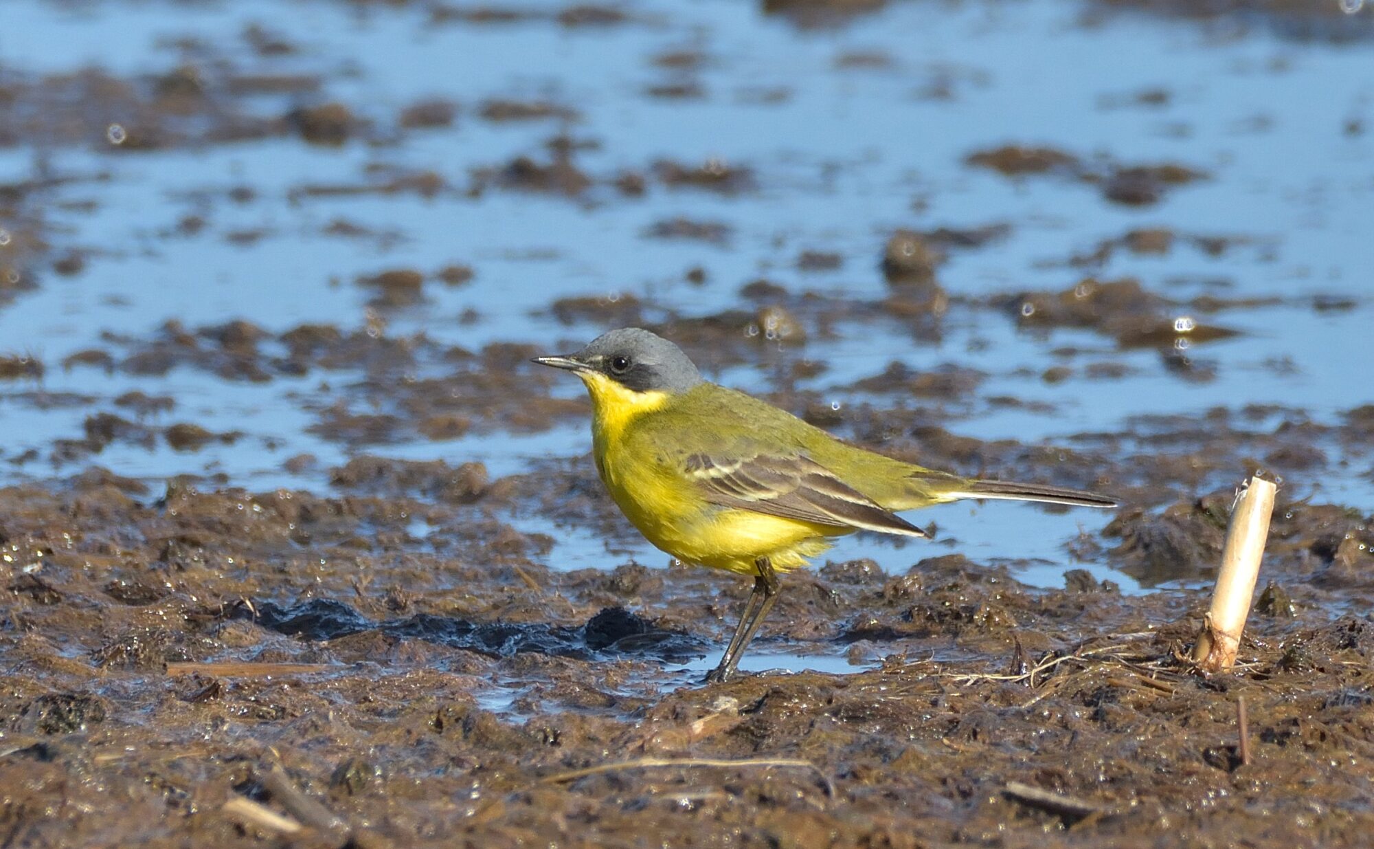 Valokuvaaja: Asko Heikkinen