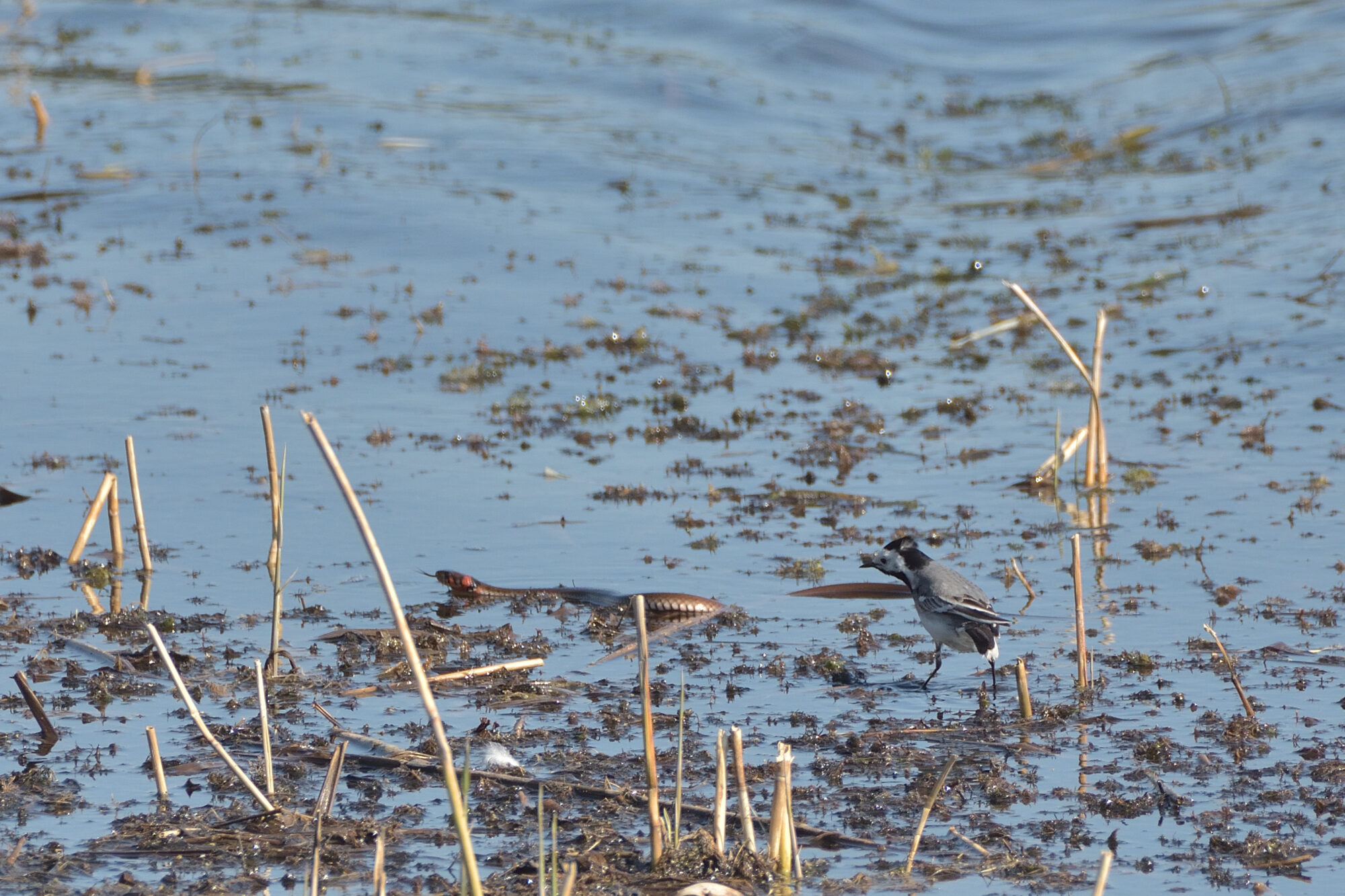 Valokuvaaja: Asko Heikkinen Valokuvaaja: Asko Heikkinen
