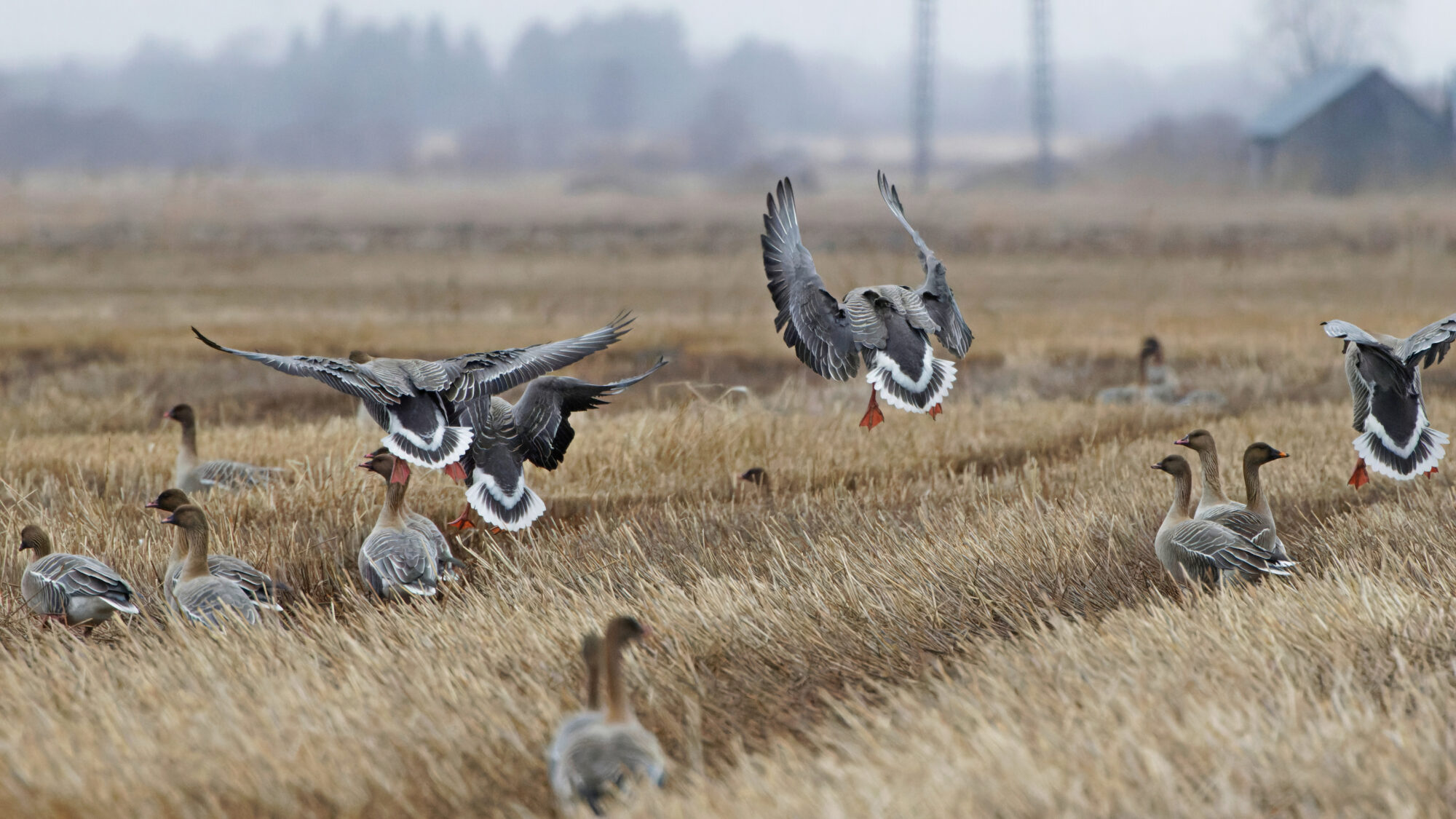 Valokuvaaja: TOMMI KUJALA