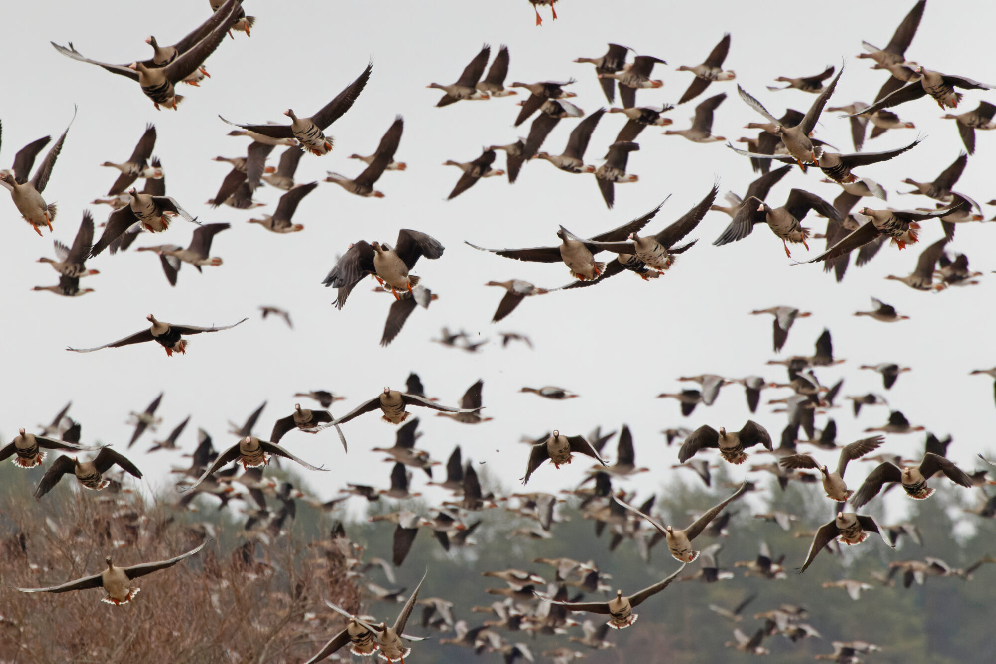 Valokuvaaja: TOMMI KUJALA