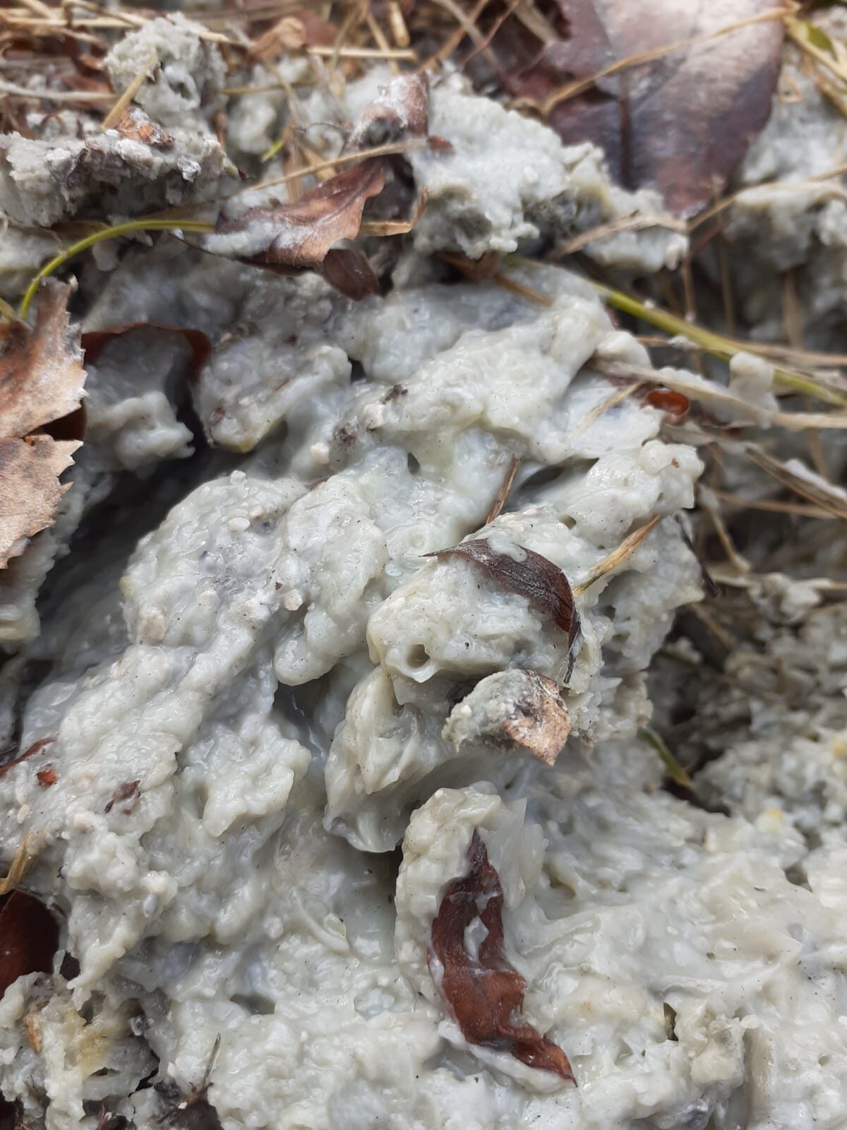 Valokuvaaja: Paula Rautio Valokuvaaja: Paula Rautio