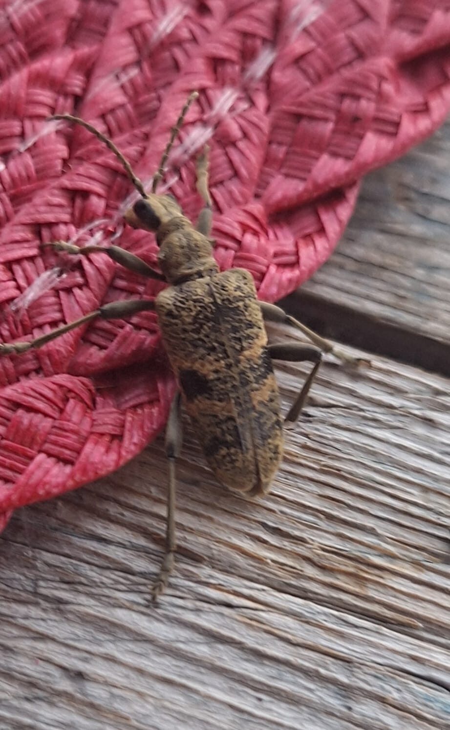 Valokuvaaja: Juha Aavikko