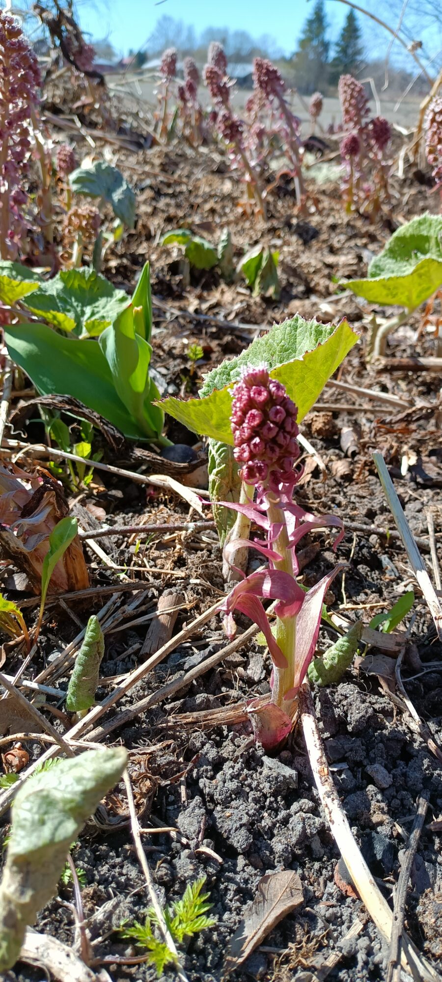 Valokuvaaja: jarno kojonen