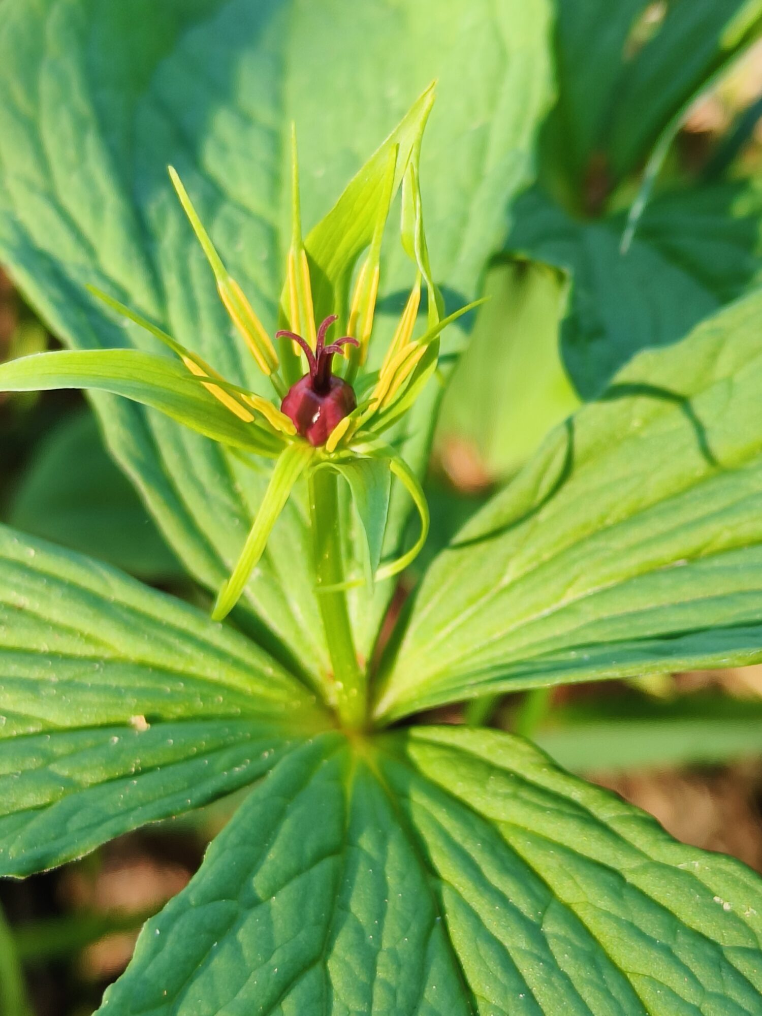 Valokuvaaja: Eija Suhonen