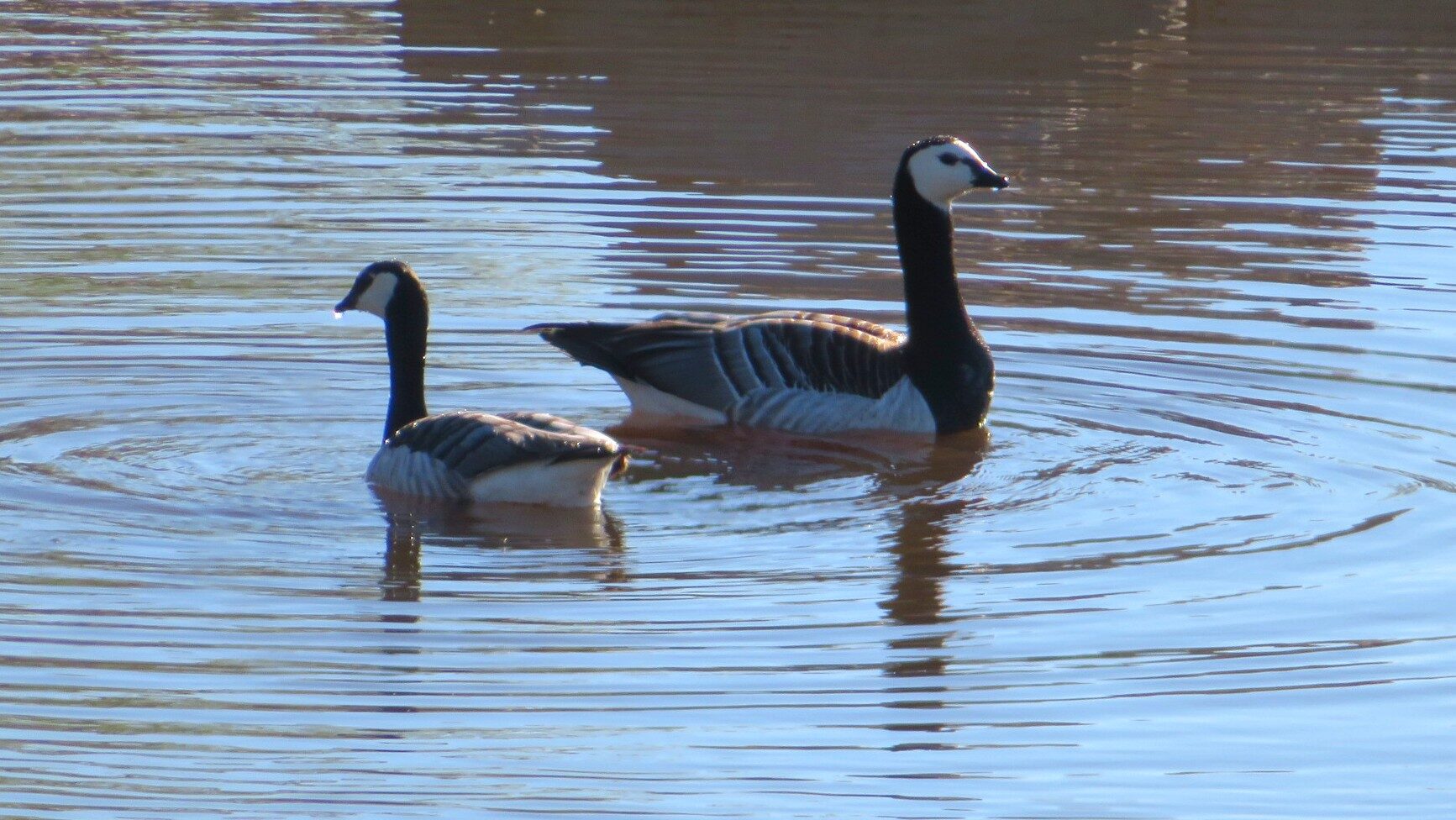 Valokuvaaja: Risto Kangassalo