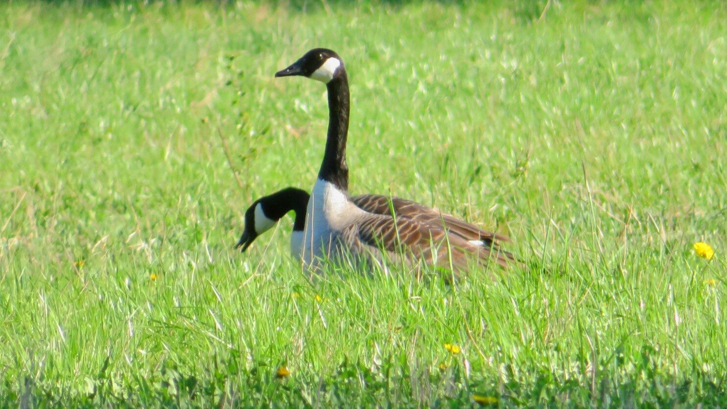 Valokuvaaja: Risto Kangassalo Valokuvaaja: Risto Kangassalo
