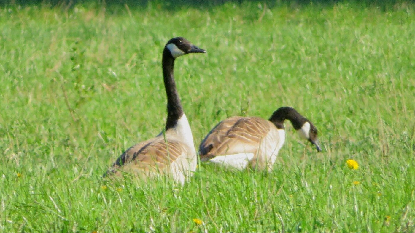 Valokuvaaja: Risto Kangassalo