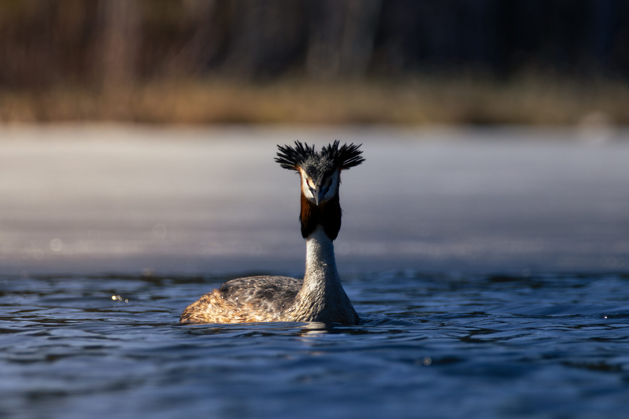 Valokuvaaja: Leevi Halme