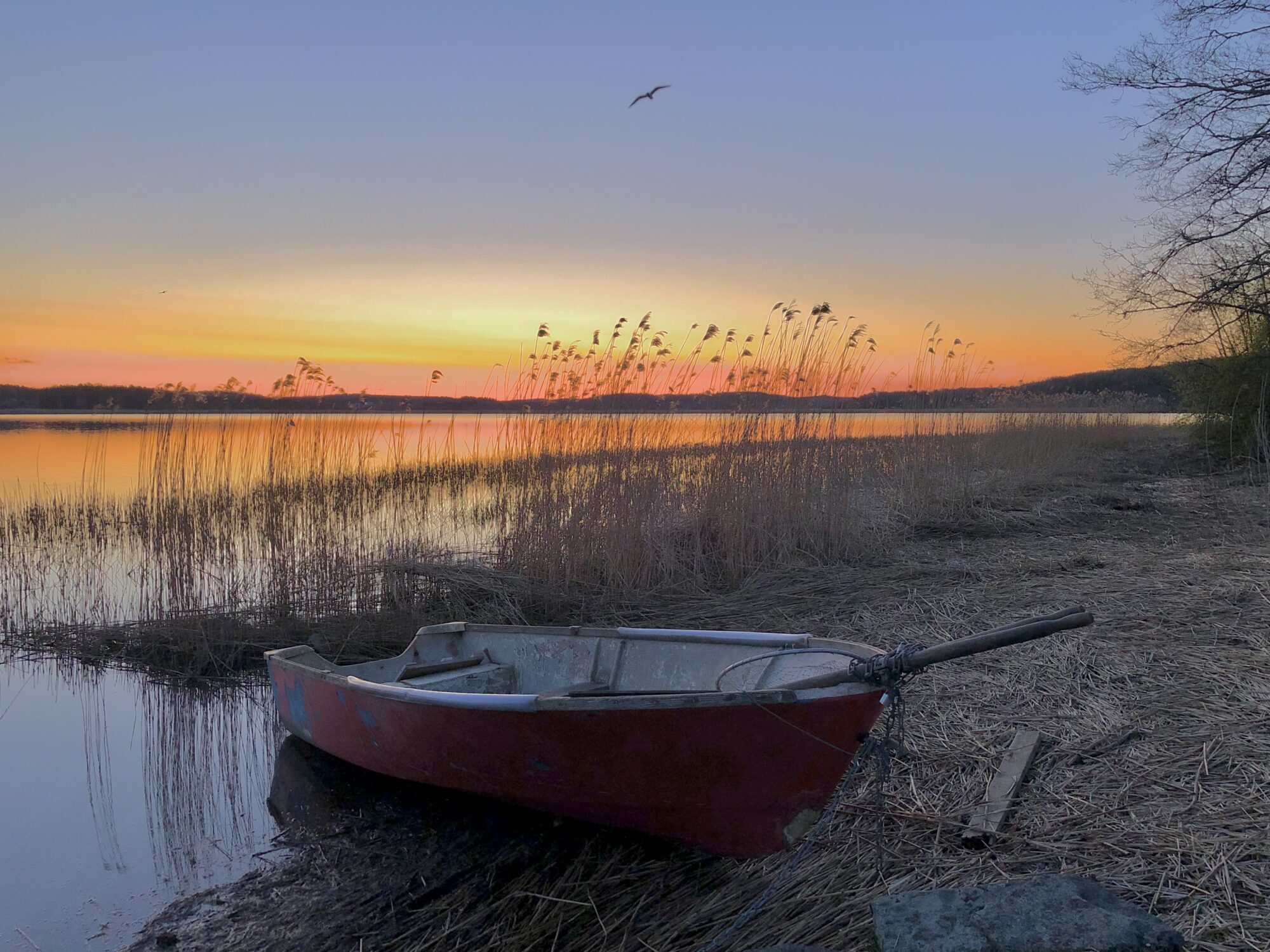 Valokuvaaja: Juhani Peltonen