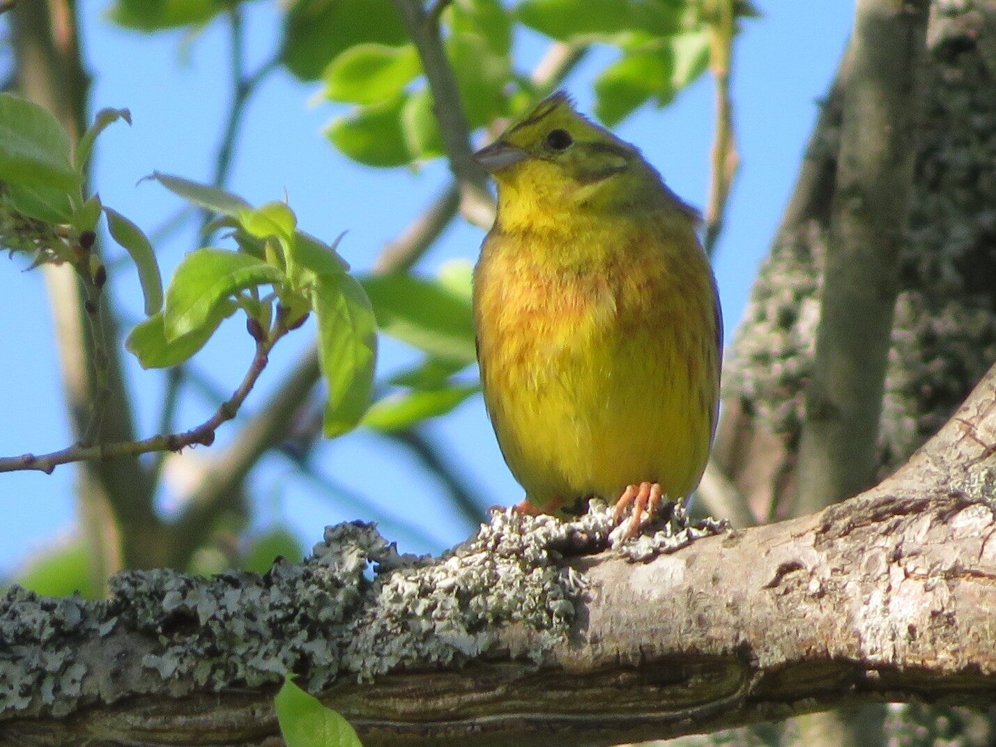 Valokuvaaja: Risto Kangassalo