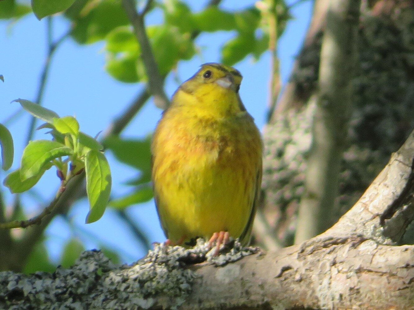 Valokuvaaja: Risto Kangassalo