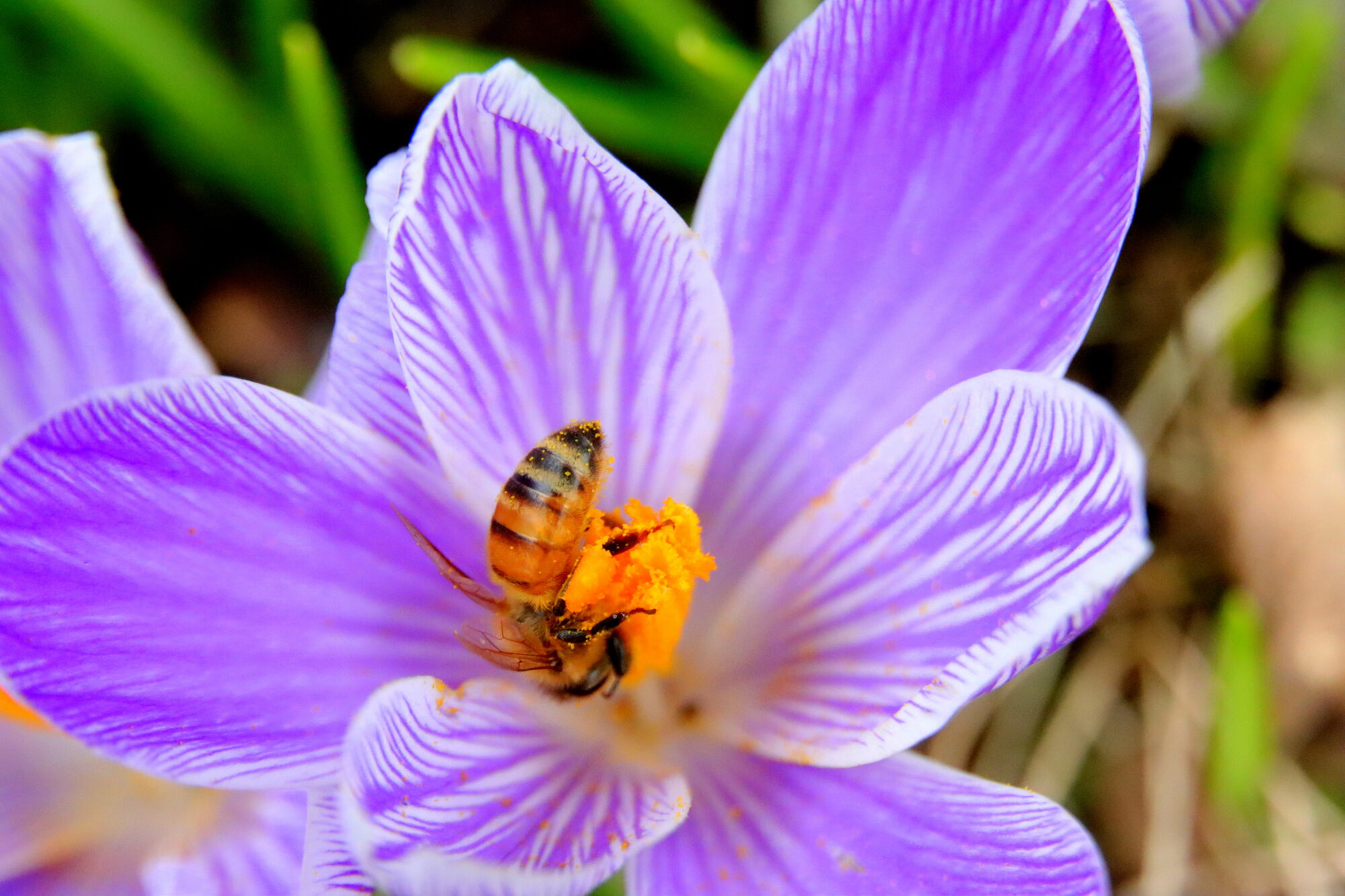 Valokuvaaja: Irja Lehtinen