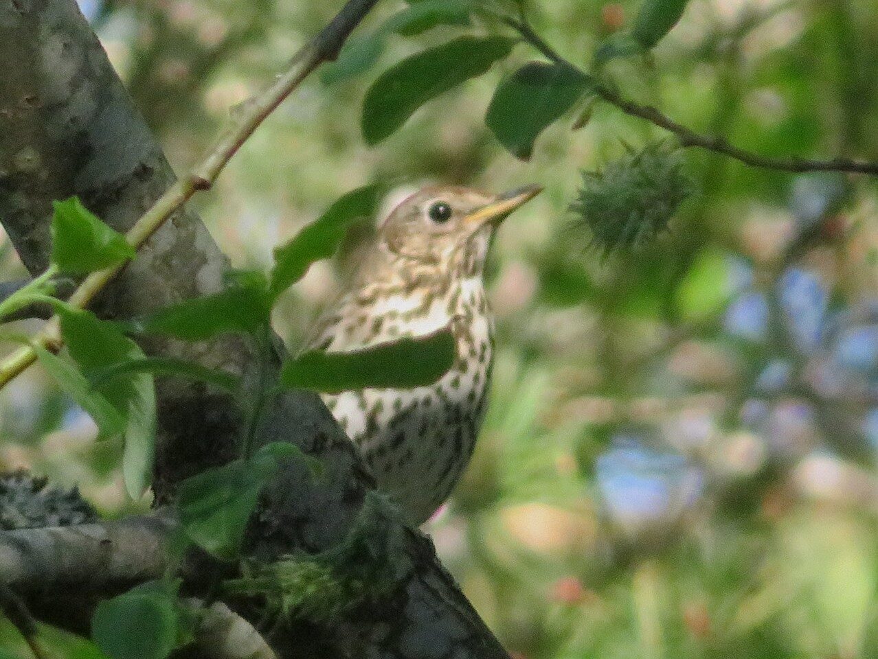 Valokuvaaja: Risto Kangassalo